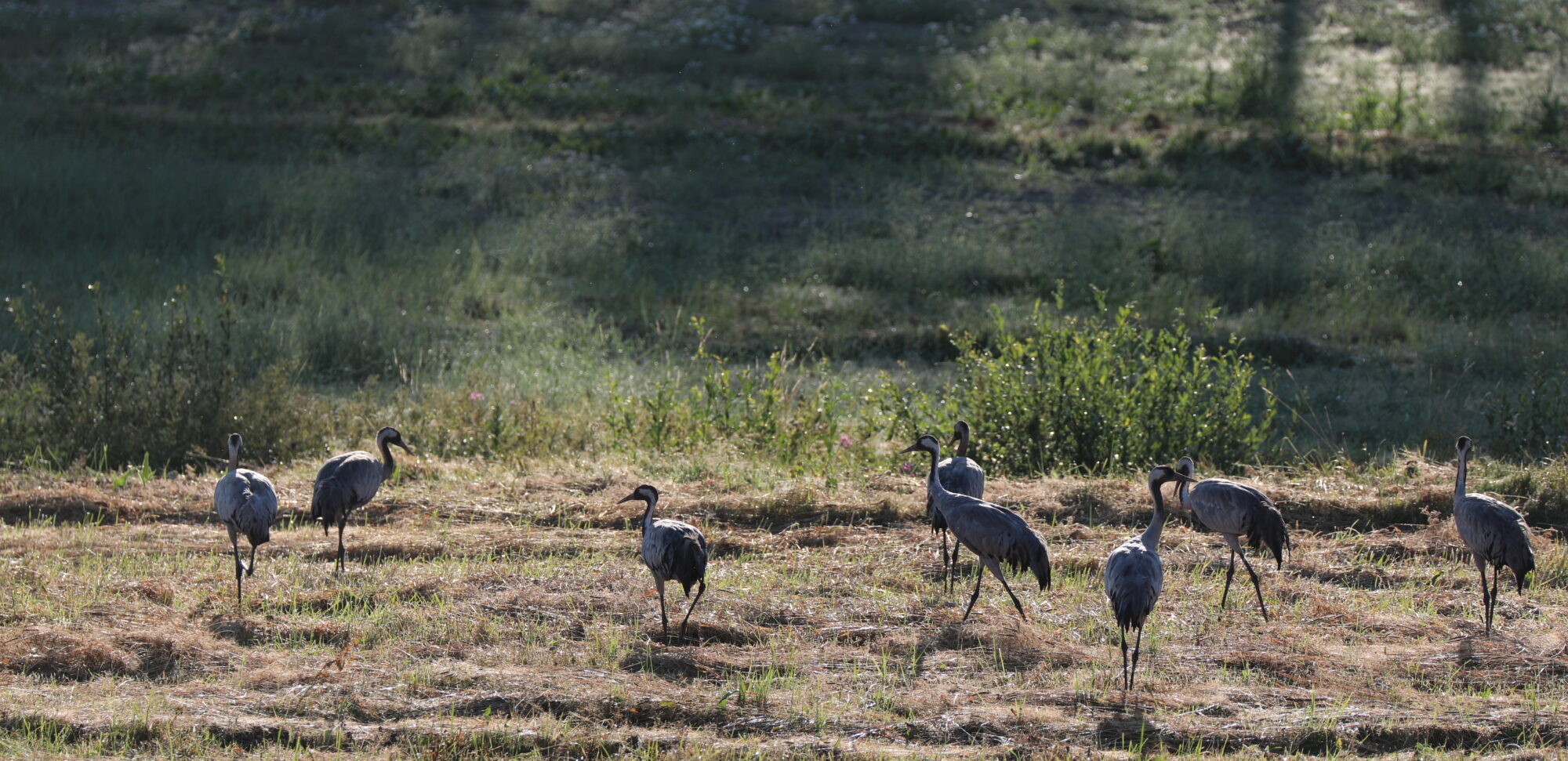Valokuvaaja: Ahti Keränen
