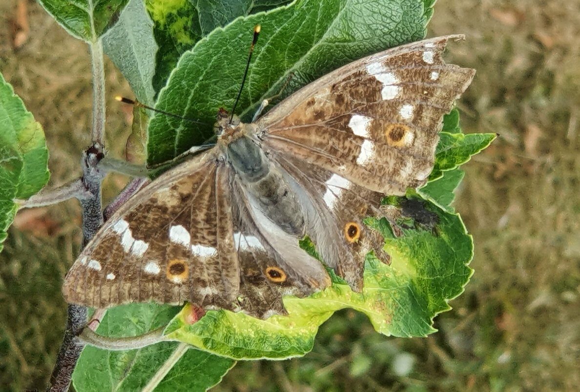 Valokuvaaja: Ilkka Lainema