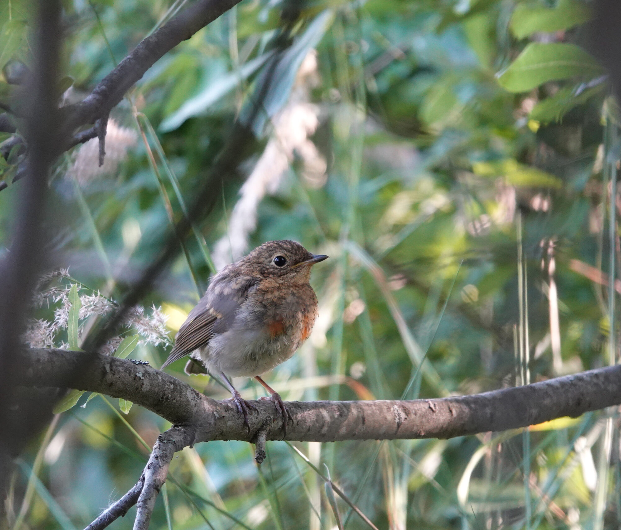 Valokuvaaja: Eero Peltonen