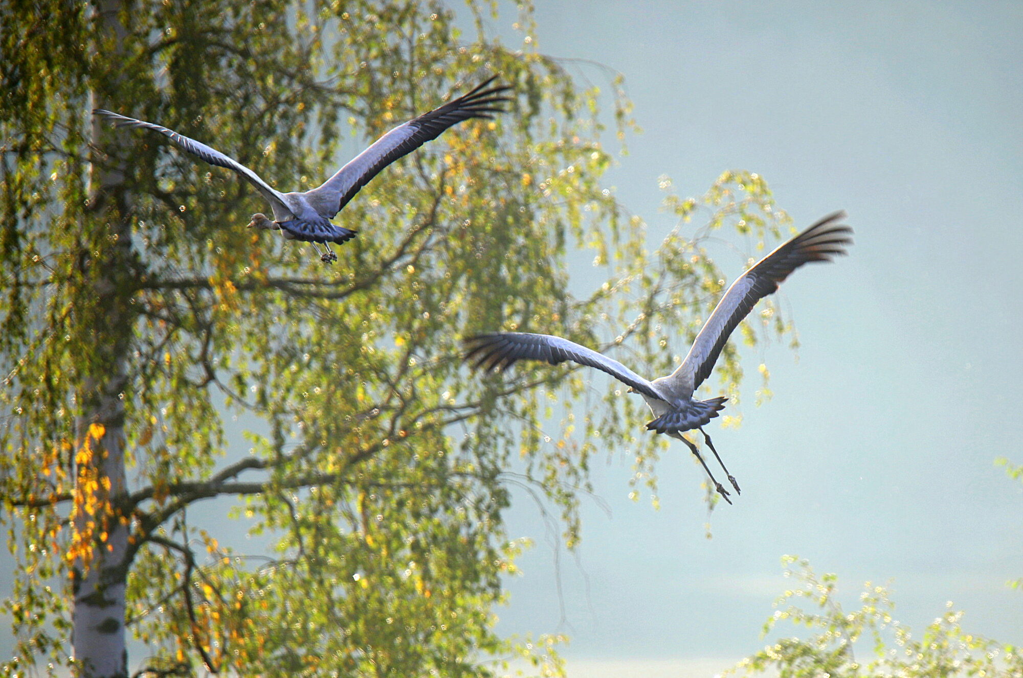 Valokuvaaja: sirpa jyske