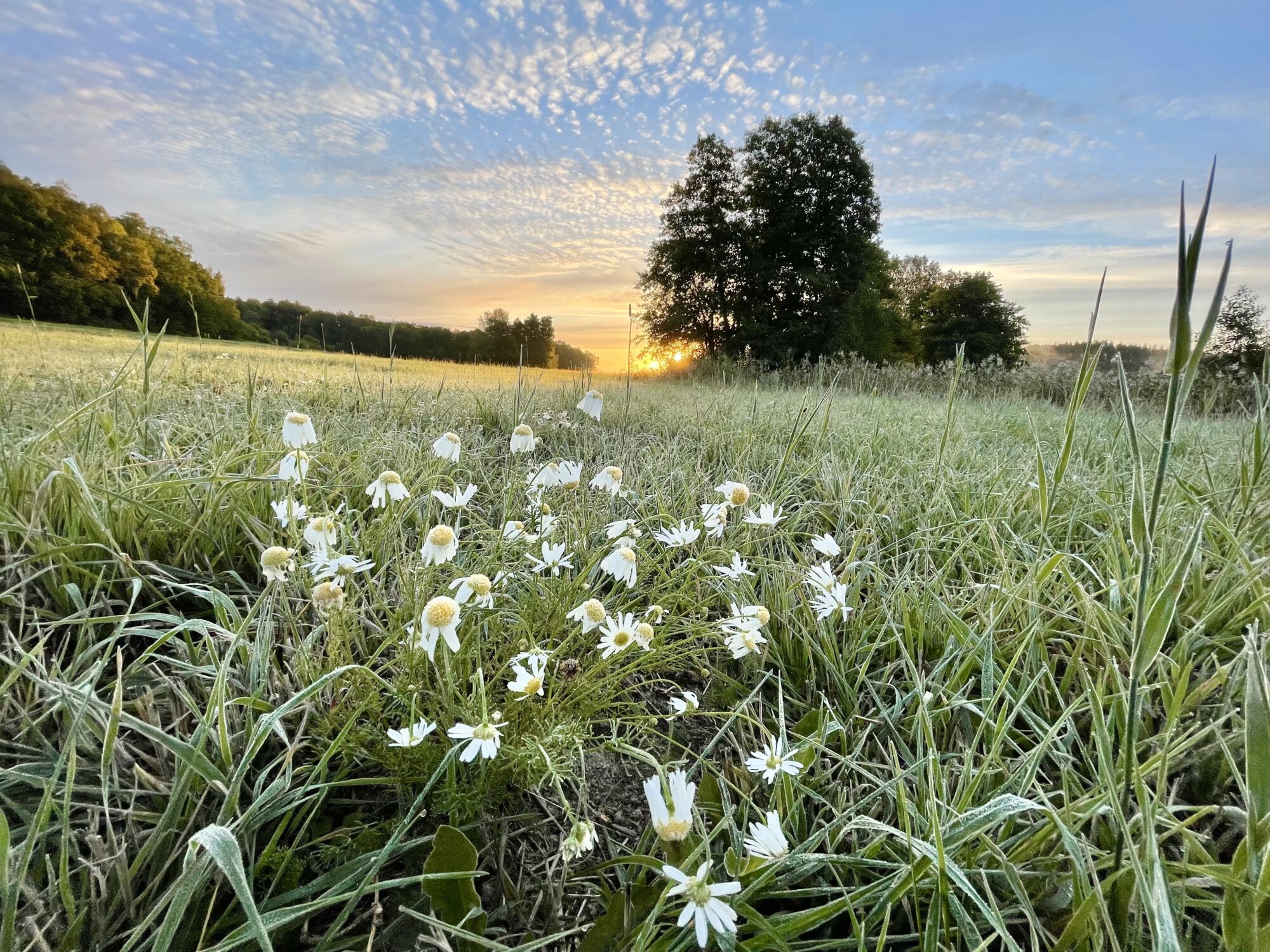 Valokuvaaja: Juhani Peltonen