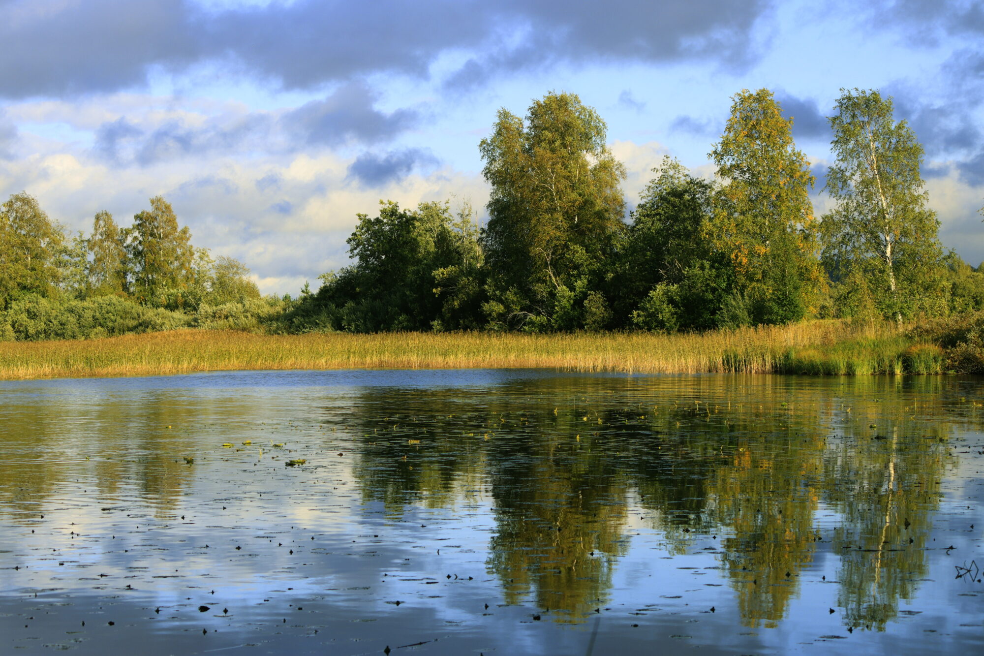 Valokuvaaja: Ritva Nieminen