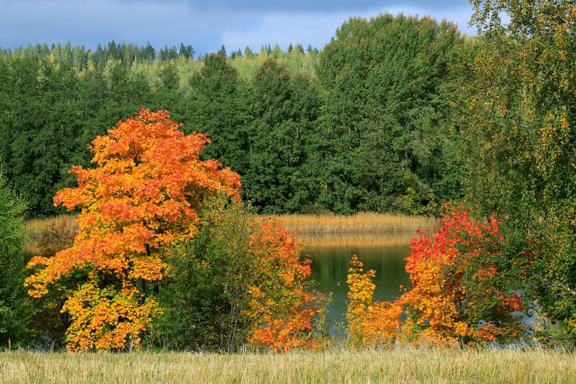 Valokuvaaja: Ritva Nieminen