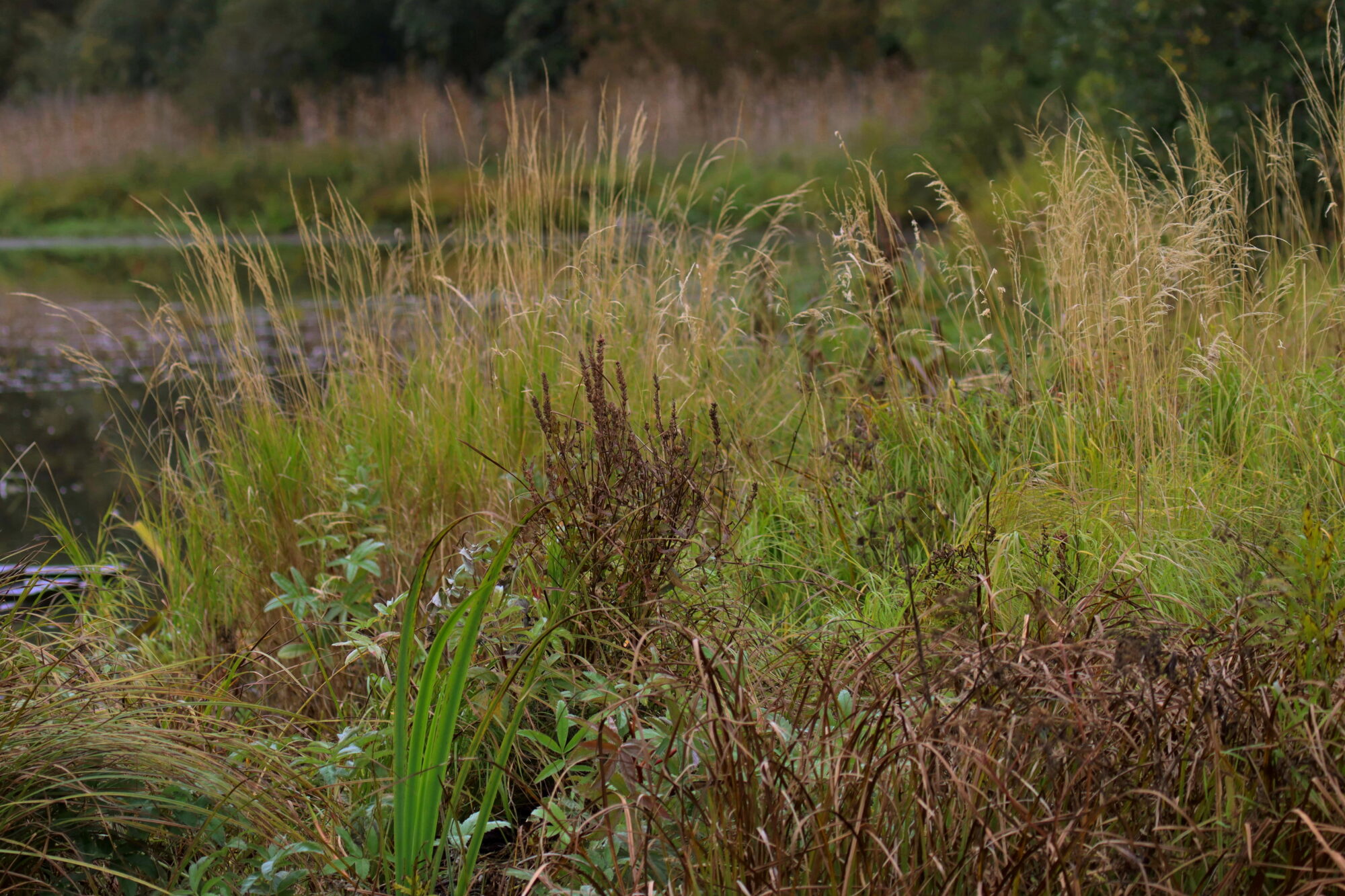Valokuvaaja: Ritva Nieminen