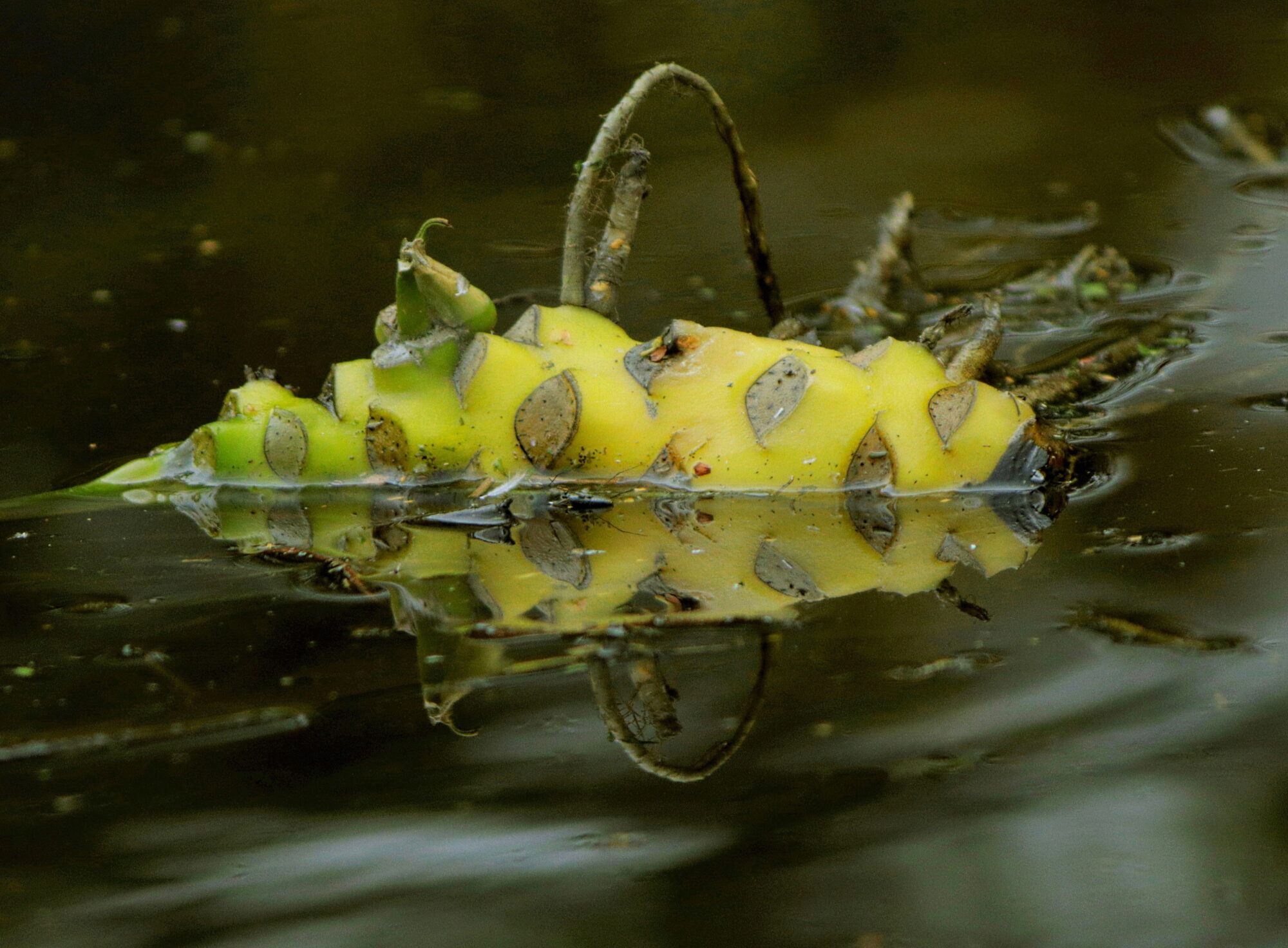 Valokuvaaja: Ritva Nieminen