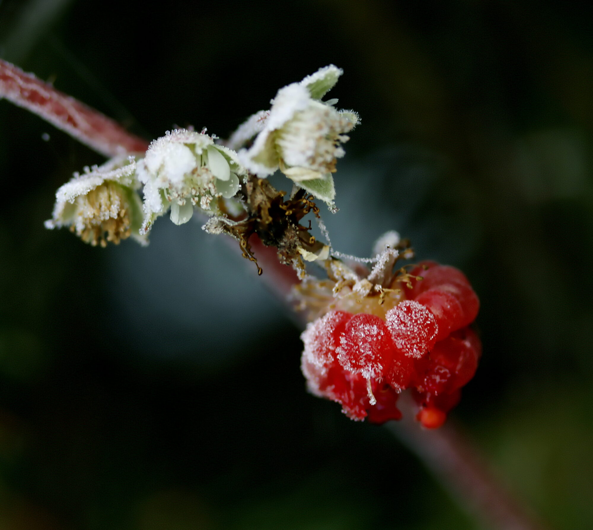 Valokuvaaja: Ritva Nieminen