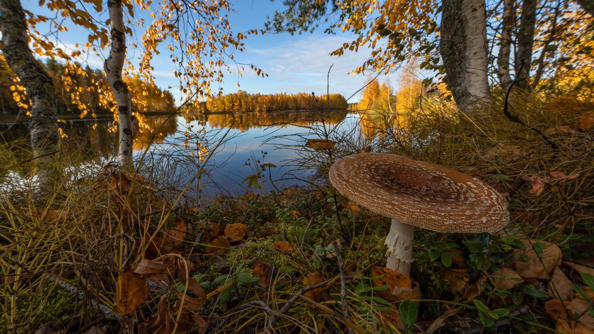 Valokuvaaja: Tommi Kujala