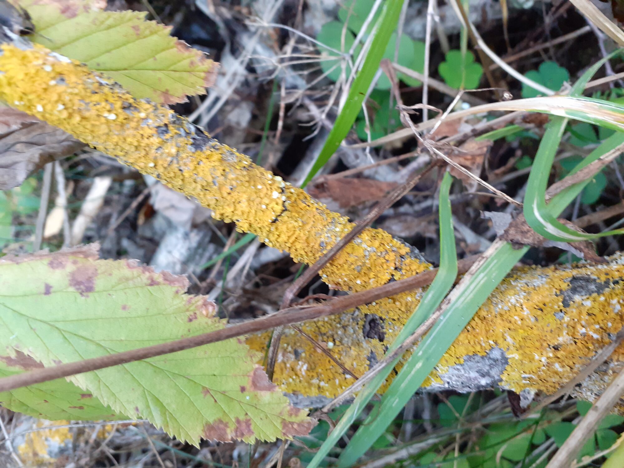 Valokuvaaja: Maarit Pietiläinen