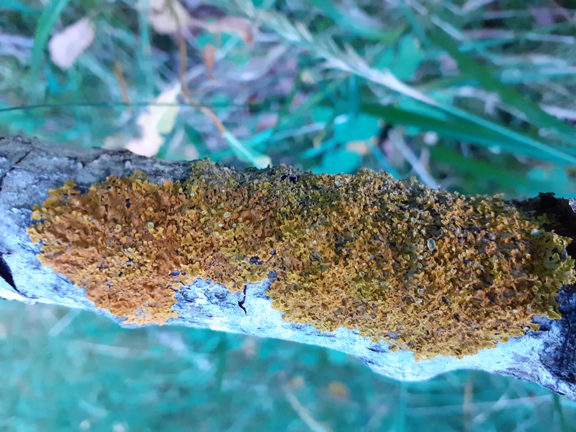 Valokuvaaja: Maarit Pietiläinen