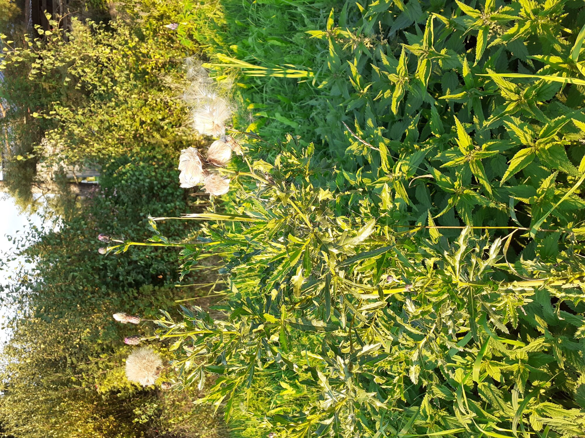 Valokuvaaja: Maarit Pietiläinen