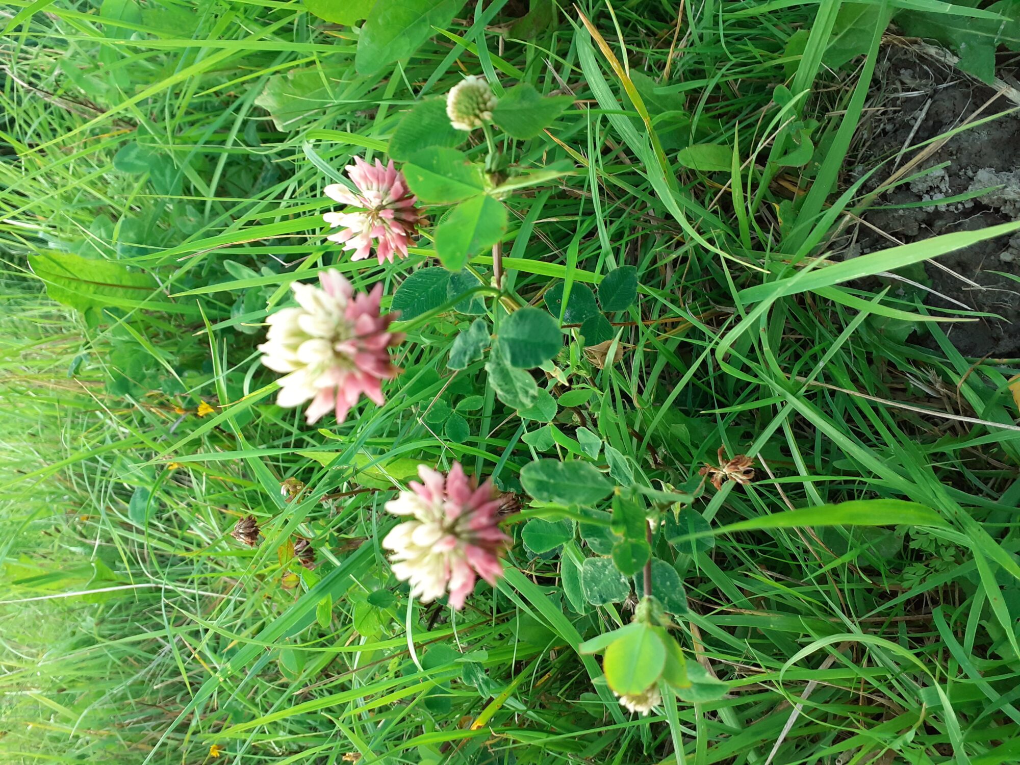 Valokuvaaja: Maarit Pietiläinen