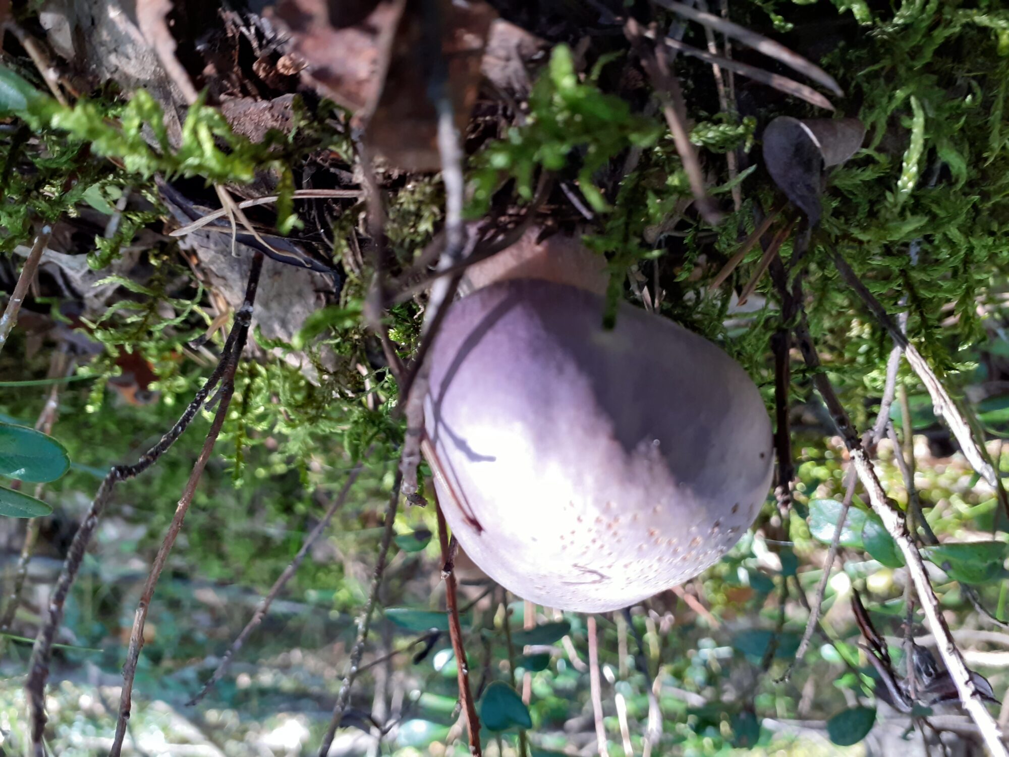 Valokuvaaja: Maarit Pietiläinen