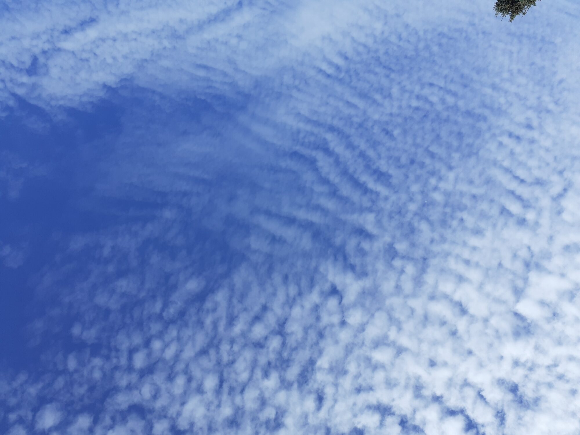 Valokuvaaja: Maarit Pietiläinen