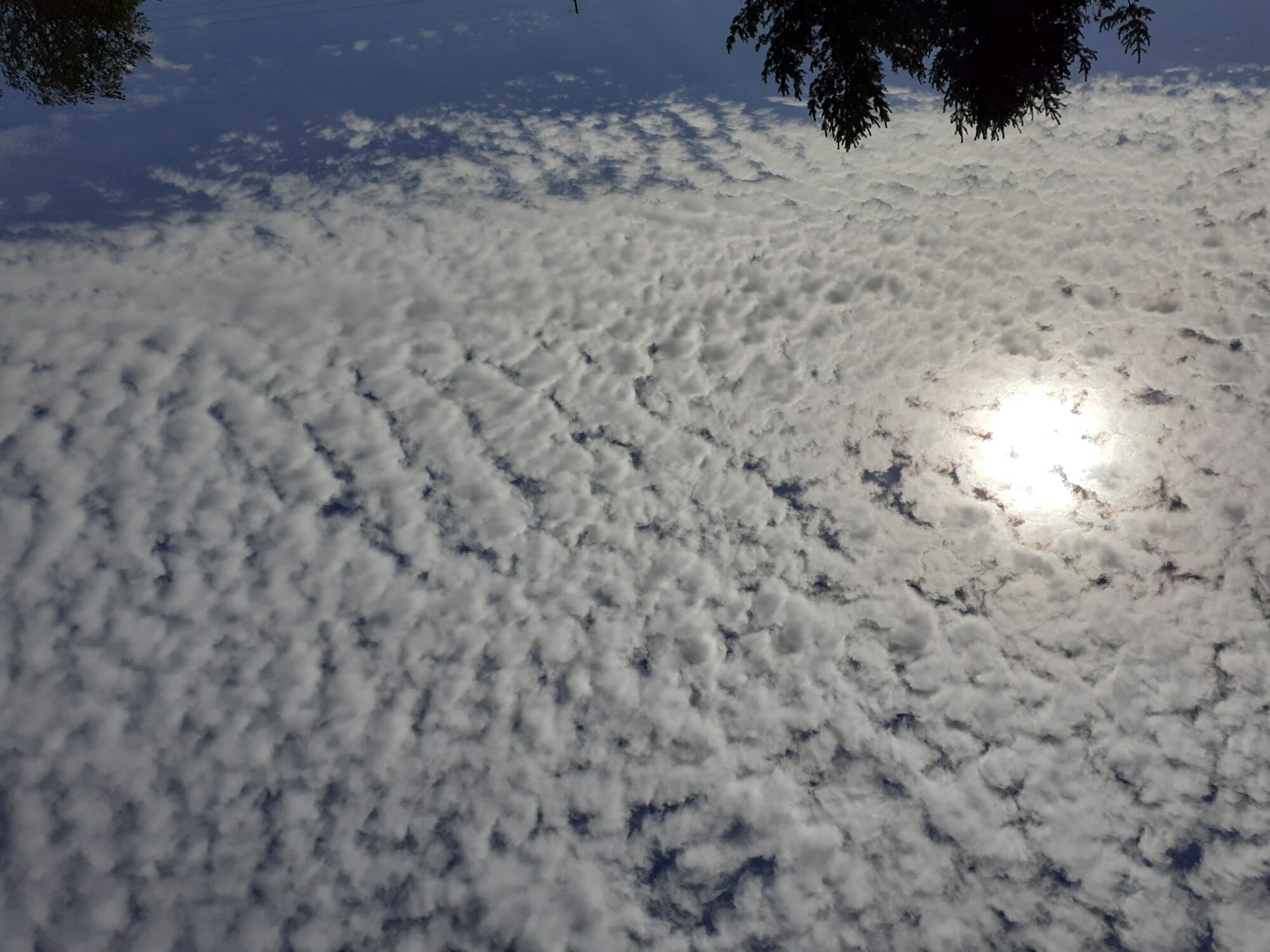 Valokuvaaja: Maarit Pietiläinen