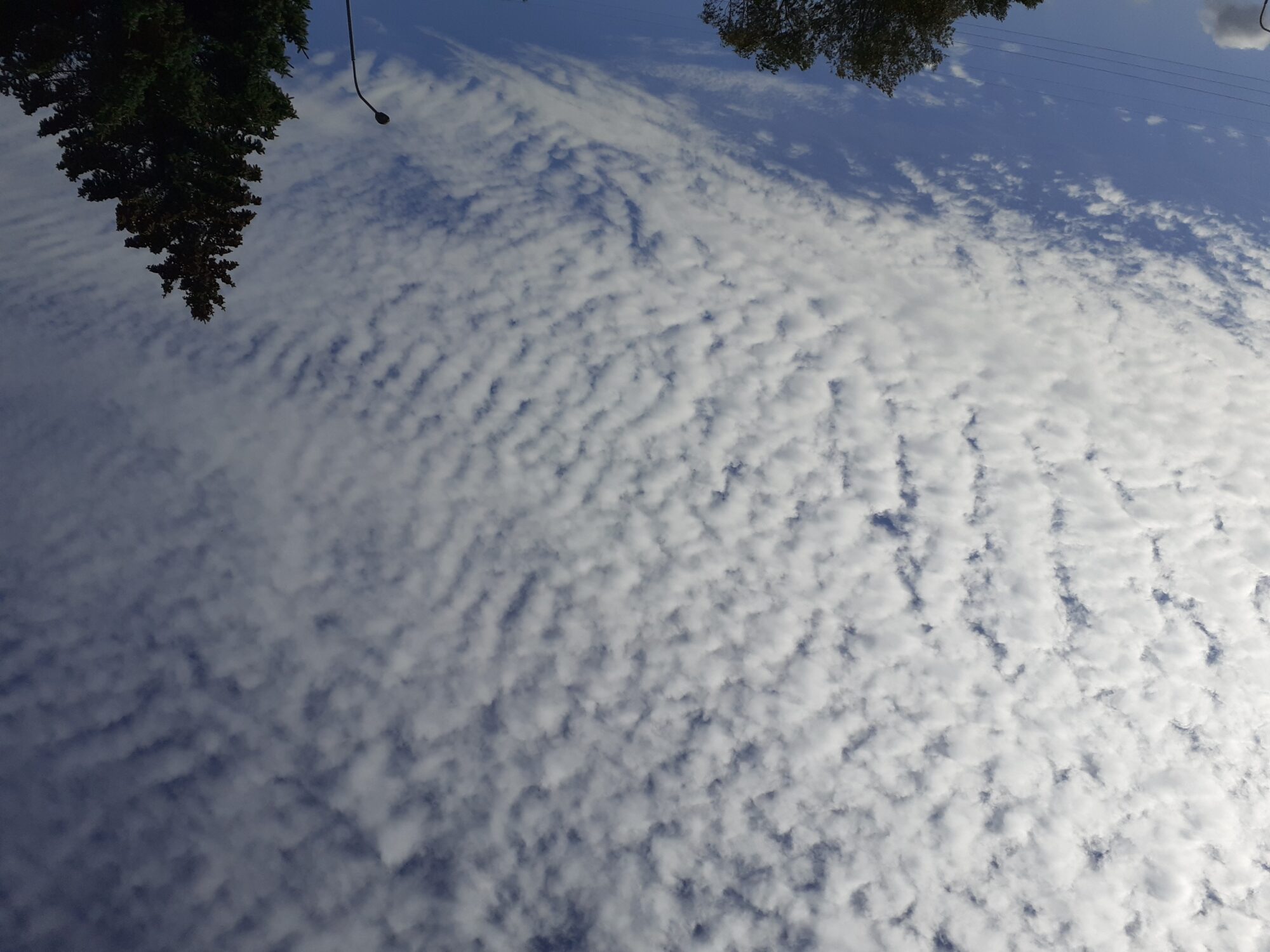 Valokuvaaja: Maarit Pietiläinen