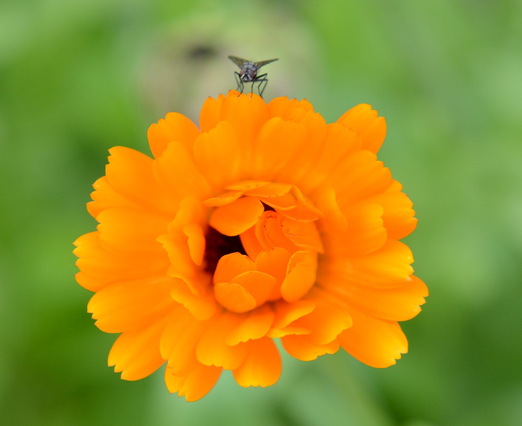 Valokuvaaja: Harry Yli-Uotila