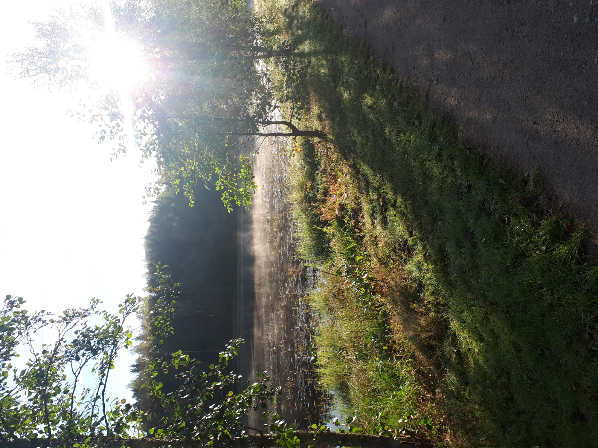 Valokuvaaja: Venla Pohjoisvirta