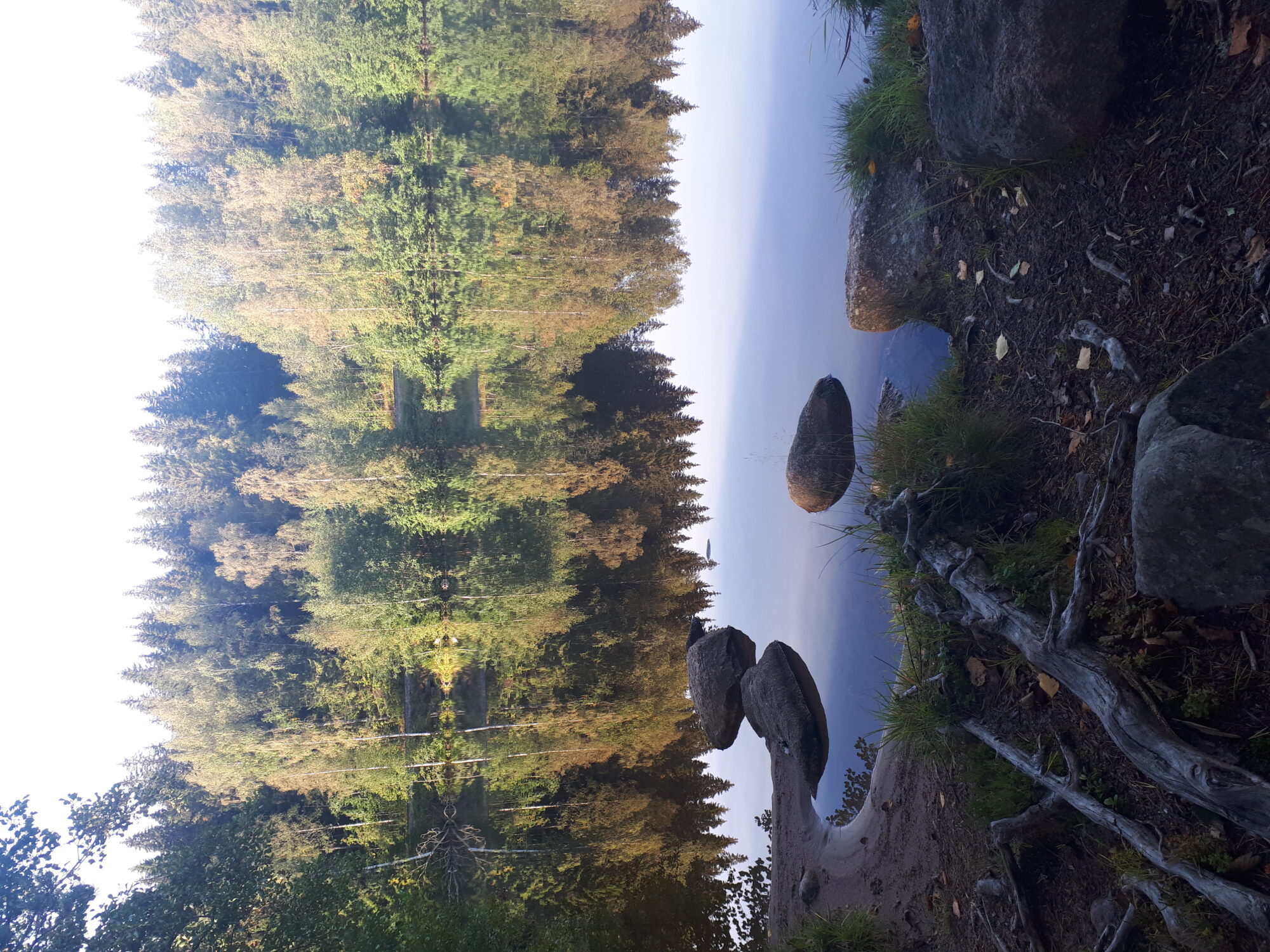 Valokuvaaja: Venla Pohjoisvirta