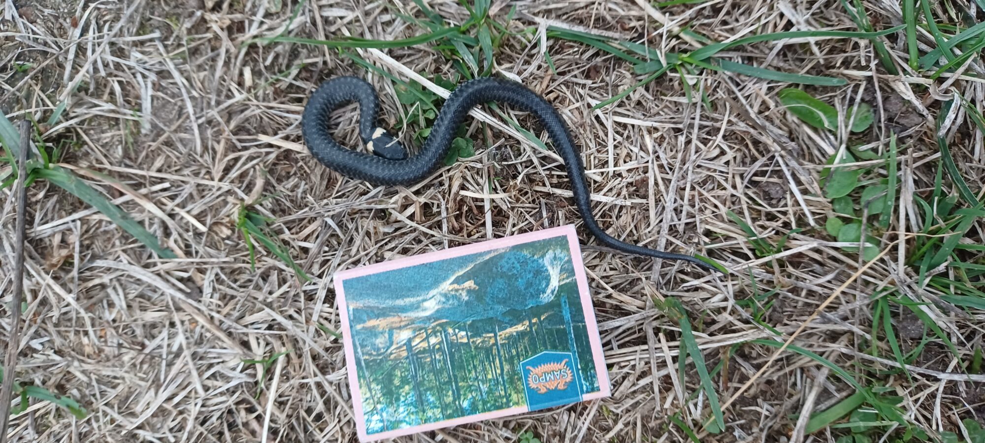 Valokuvaaja: Janne Salonen