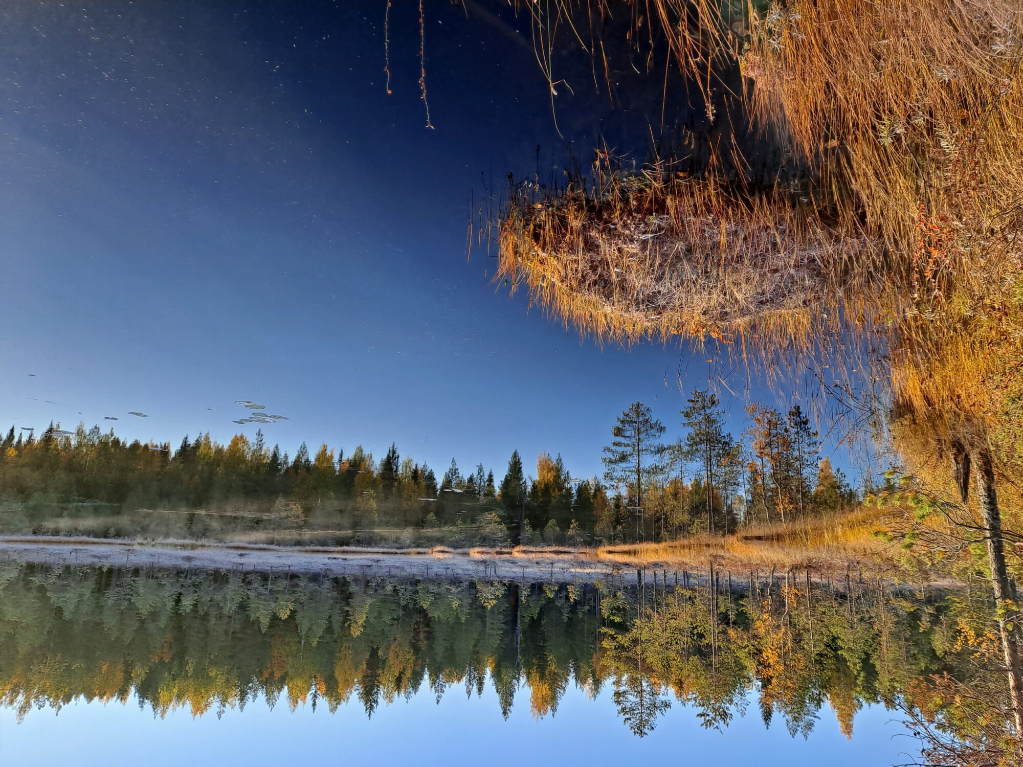 Valokuvaaja: Hannu Rissanen