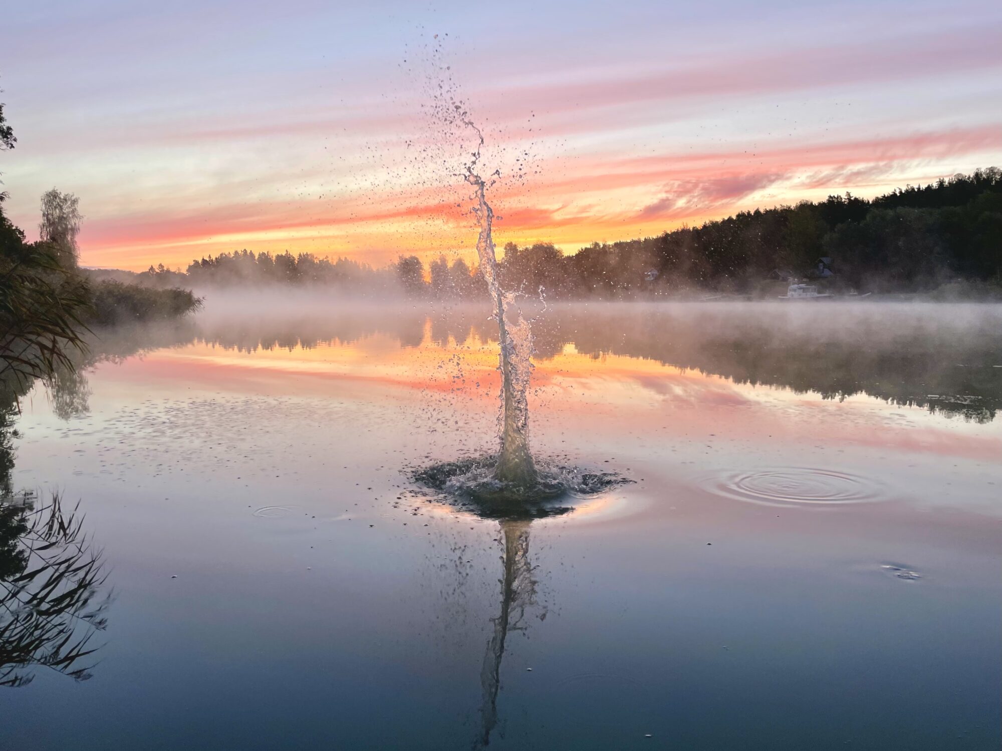 Valokuvaaja: Juhani Peltonen