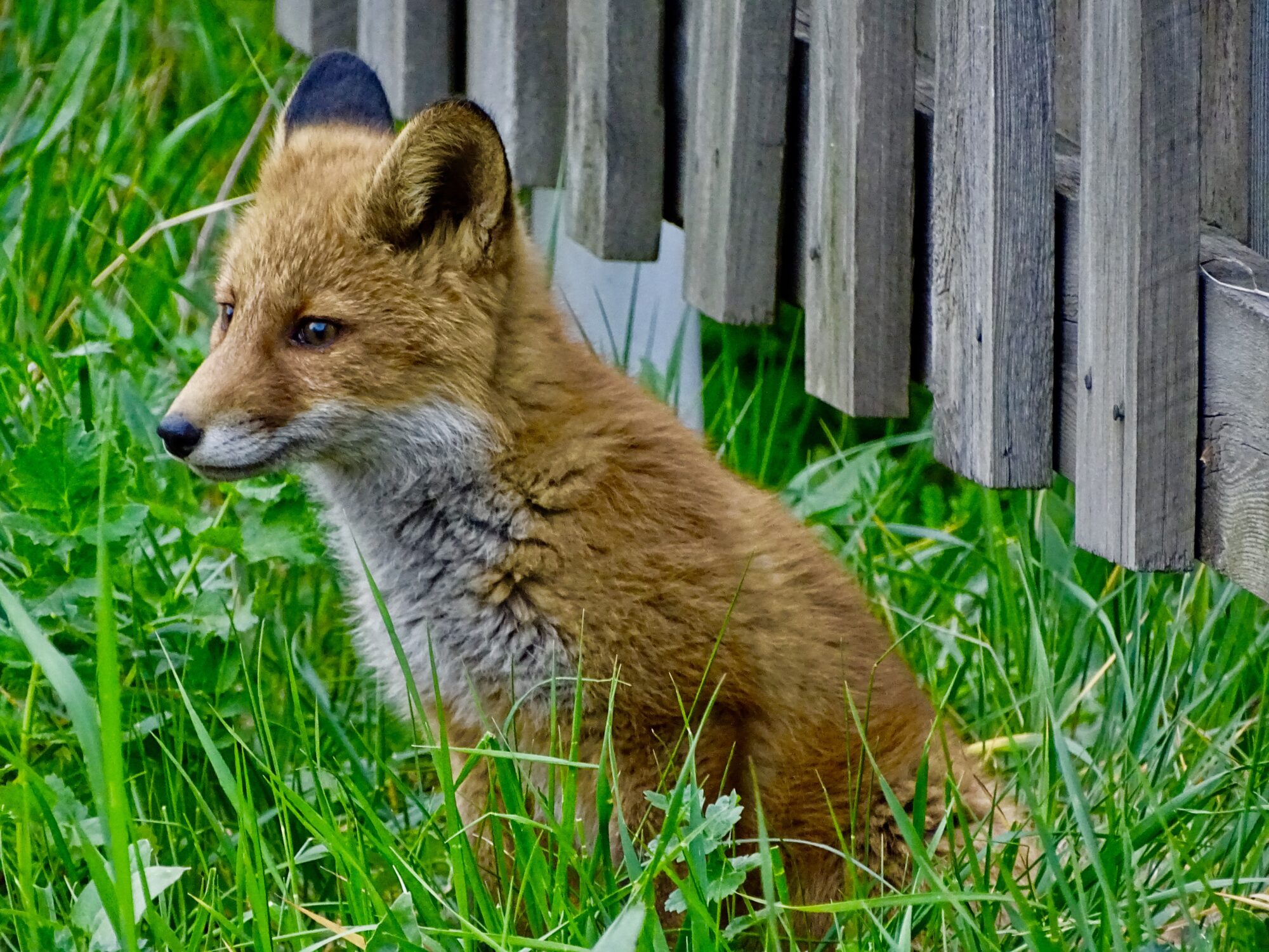 Valokuvaaja: Juhani Peltonen