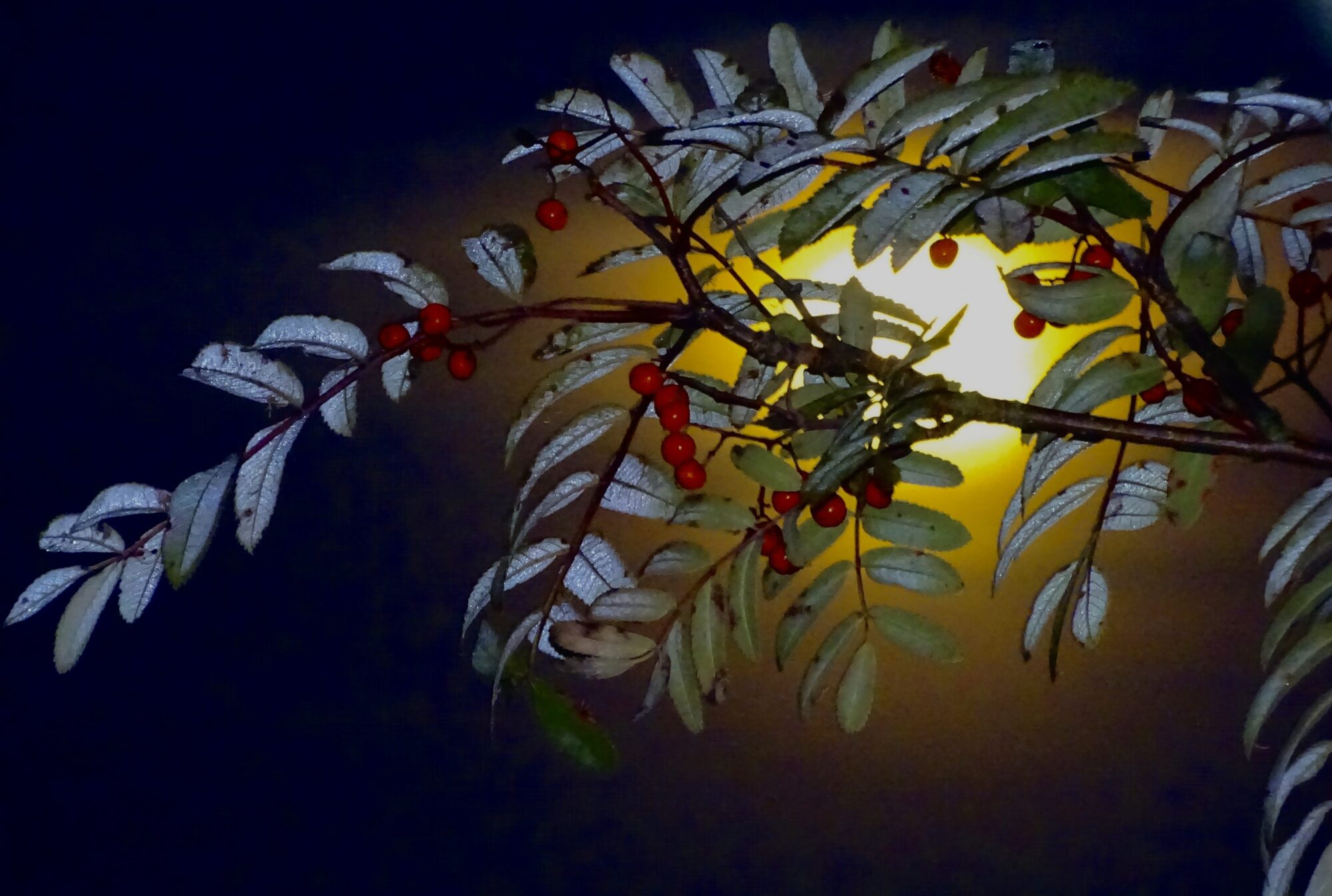 Valokuvaaja: Juhani Peltonen