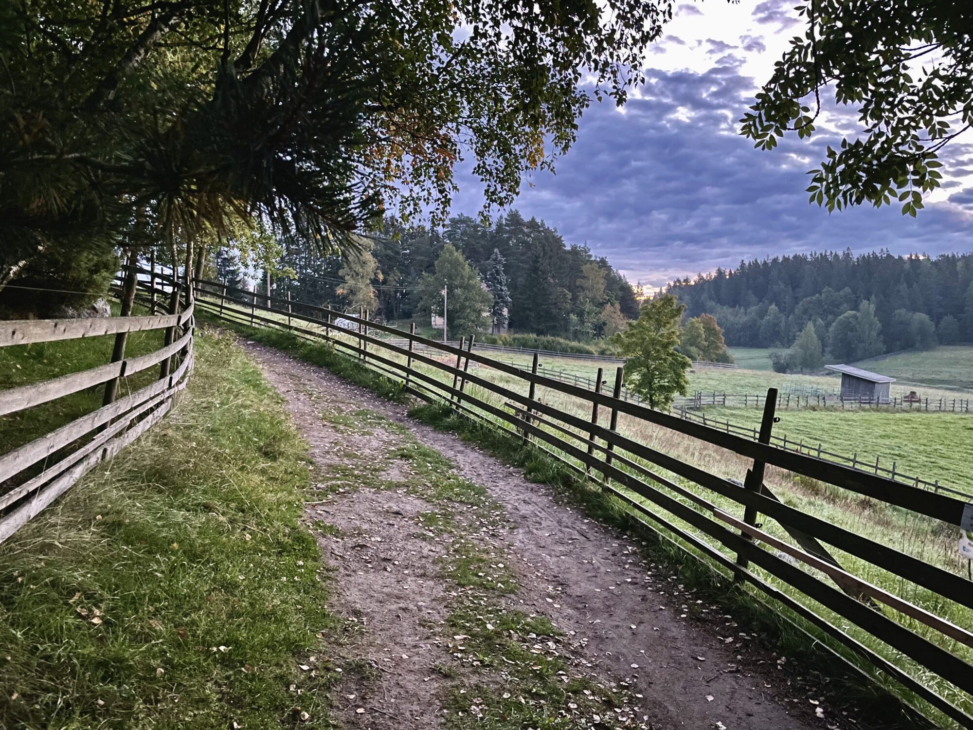Valokuvaaja: Juhani Peltonen