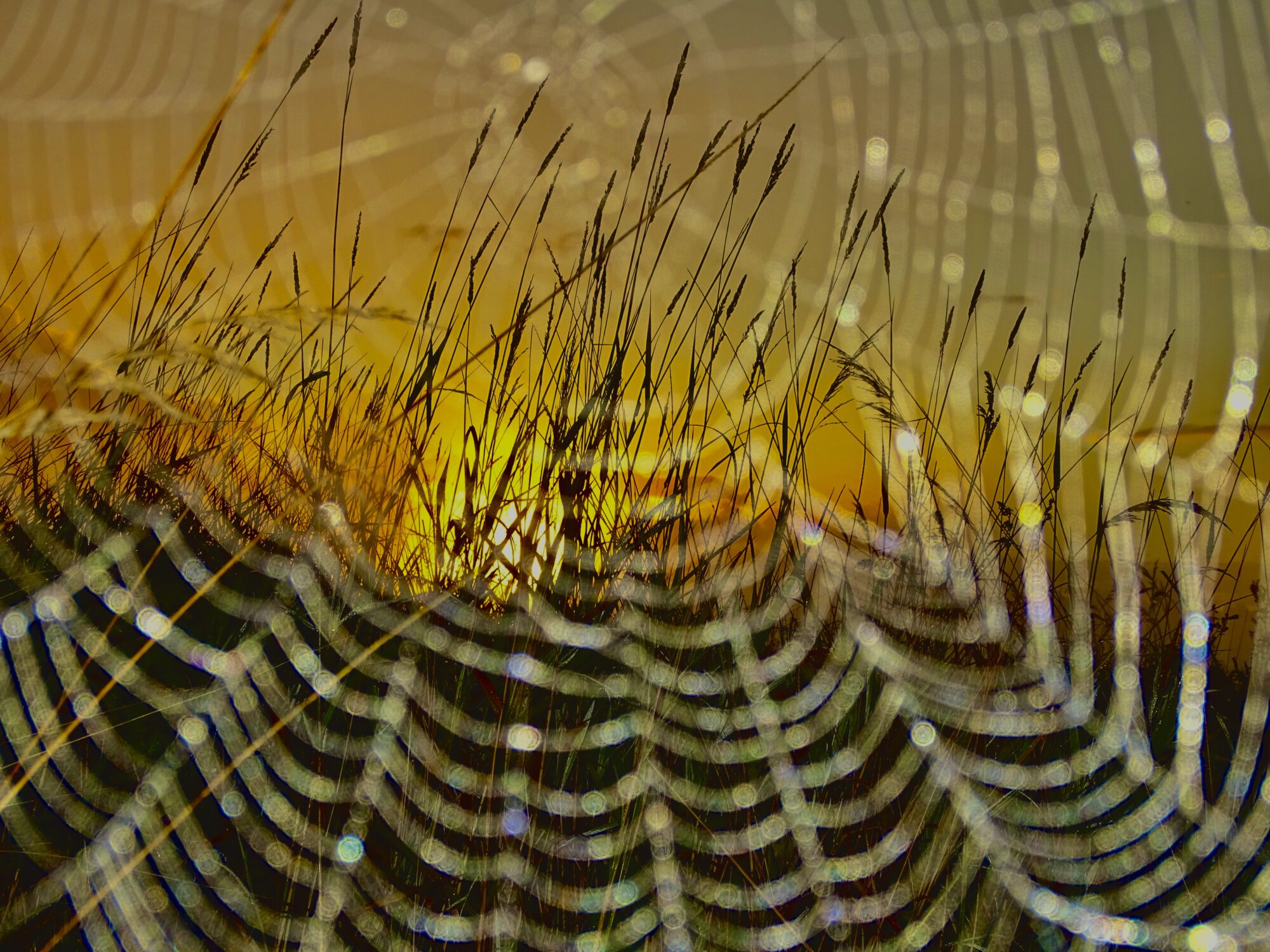 Valokuvaaja: juhani Peltonen