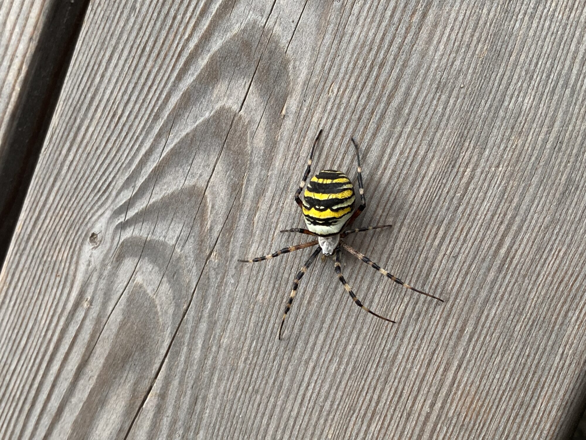 Valokuvaaja: Olli Holmström