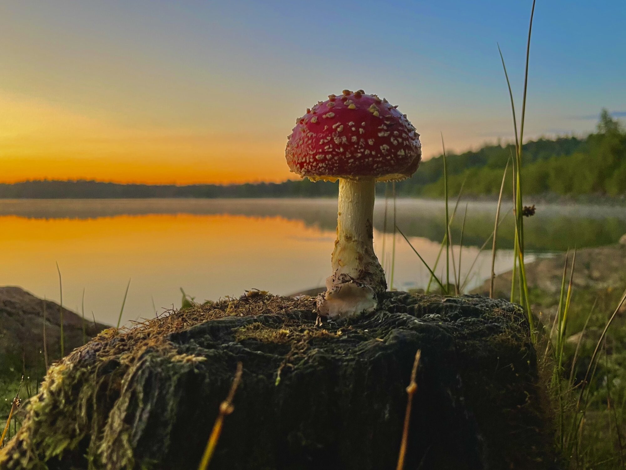 Valokuvaaja: Juhani Peltonen