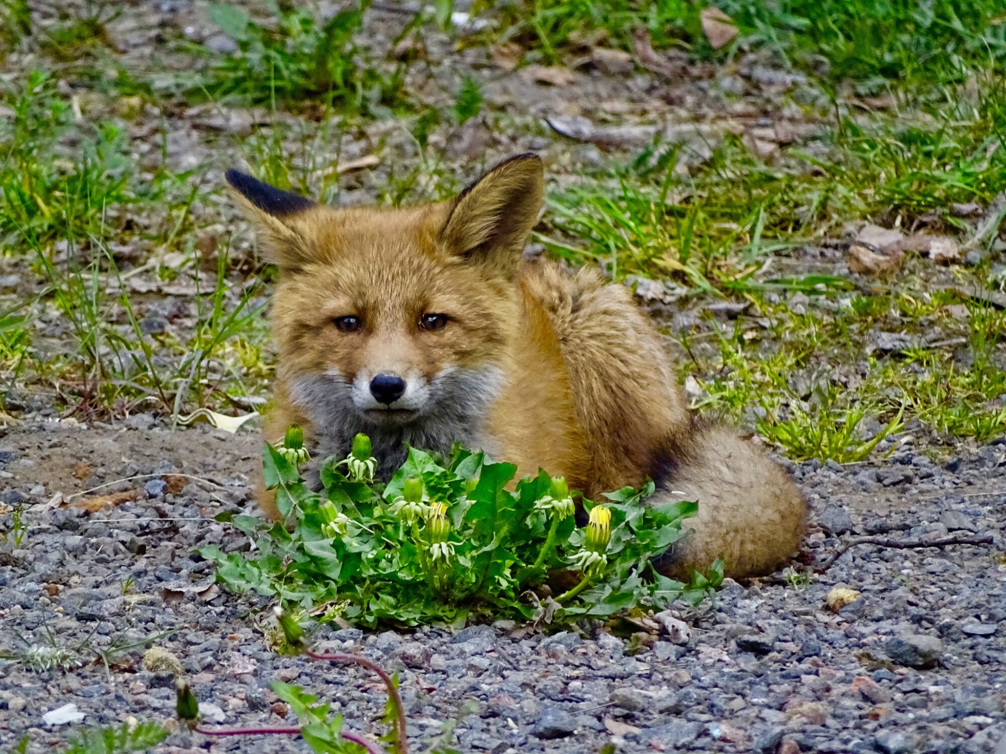 Valokuvaaja: Juhani Peltonen