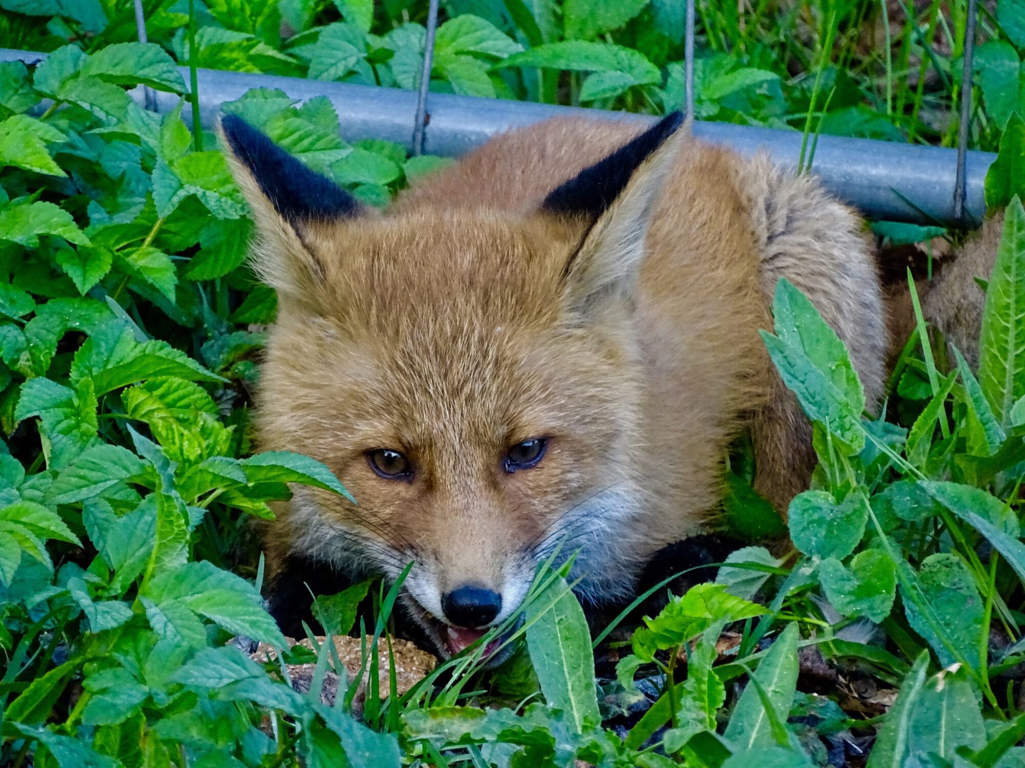 Valokuvaaja: Juhani Peltonen