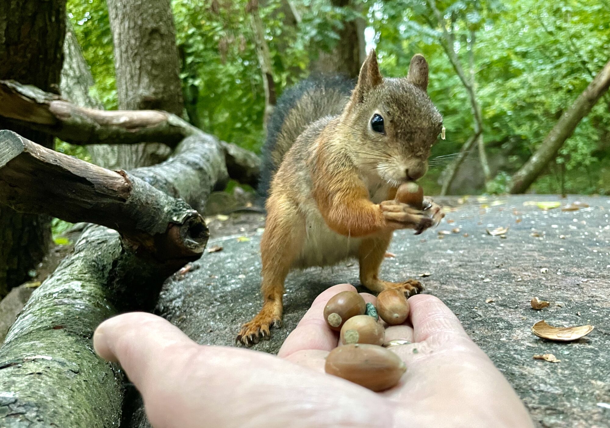Valokuvaaja: Juhani Peltonen
