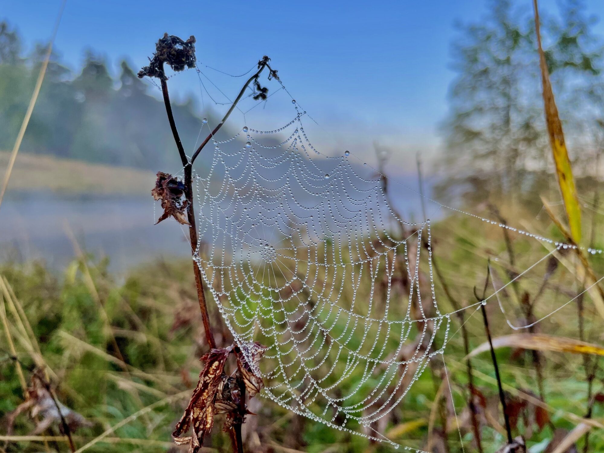 Valokuvaaja: Juhani Peltonen
