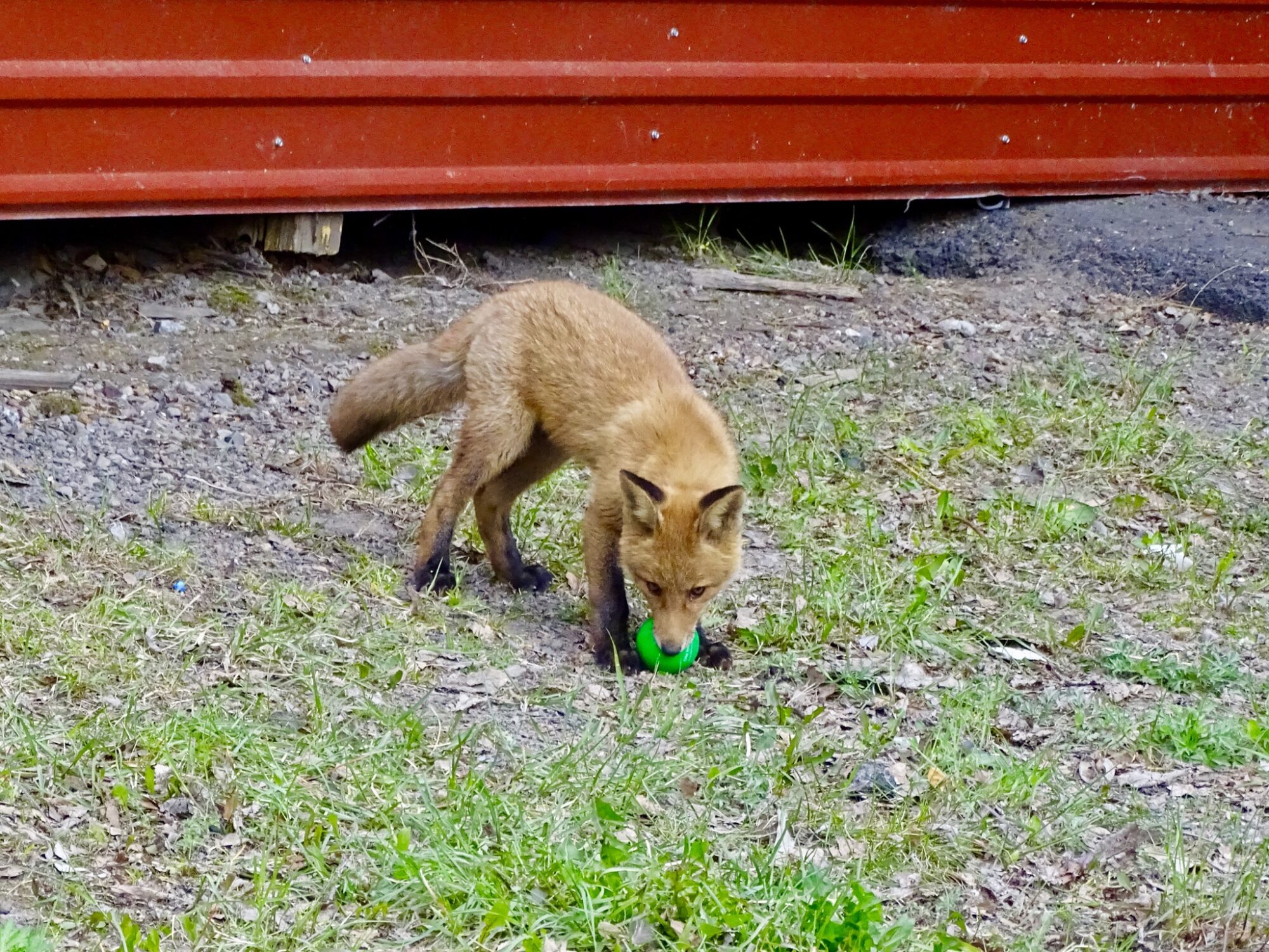 Valokuvaaja: Juhani Peltonen