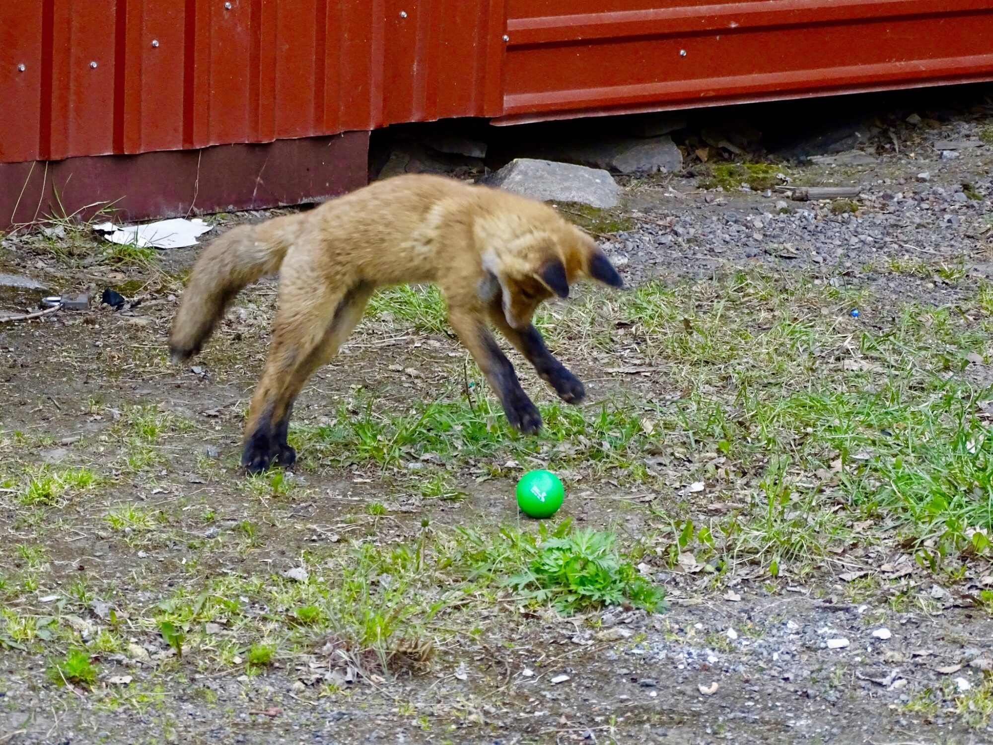 Valokuvaaja: Juhani Peltonen