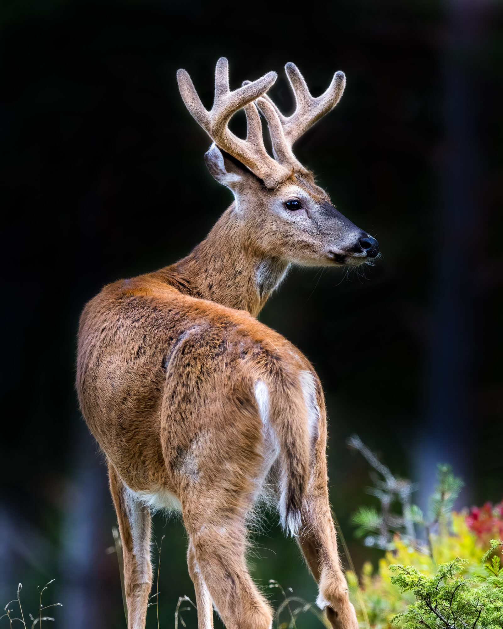 Valokuvaaja: Jarno Halme