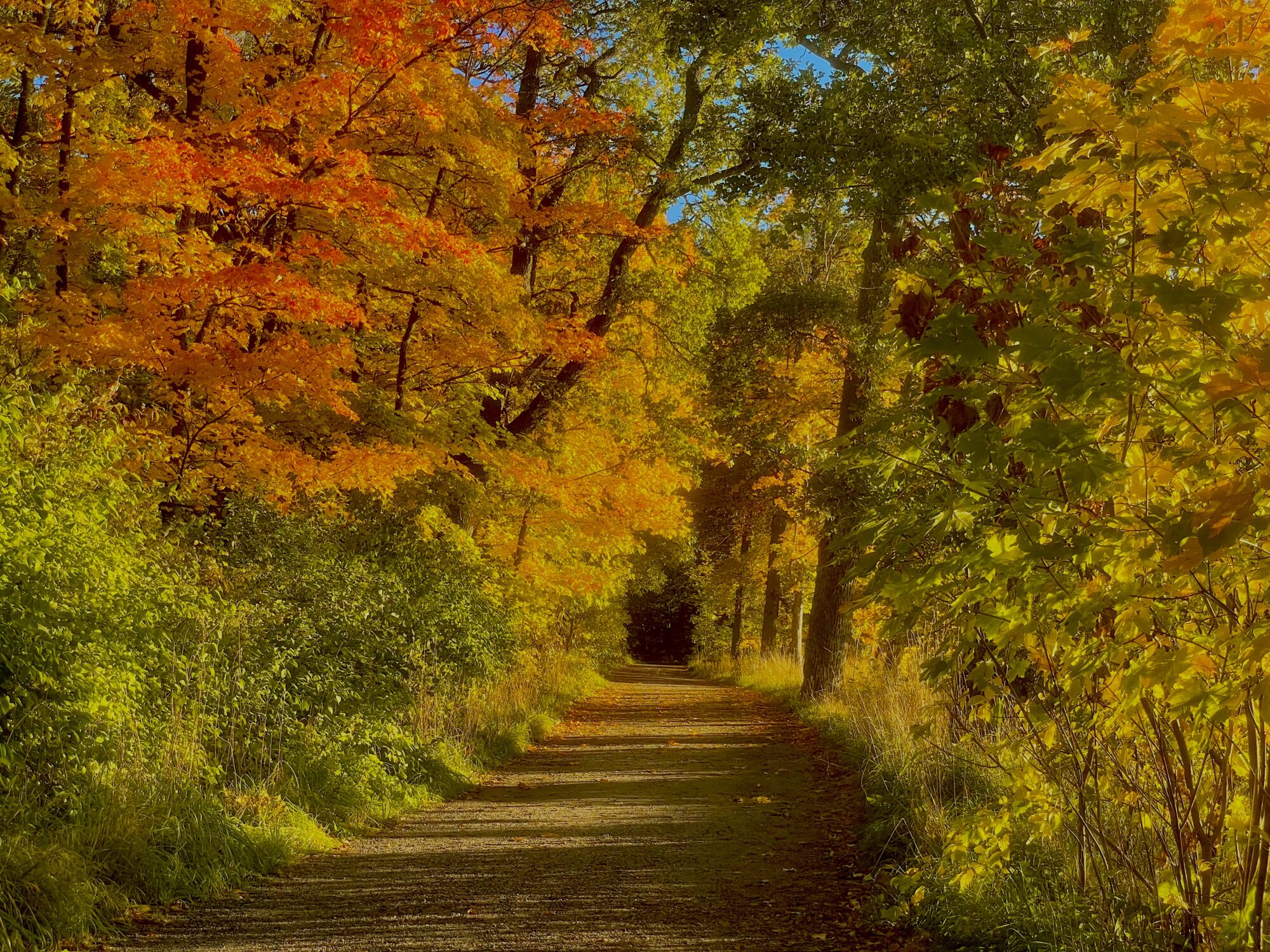 Valokuvaaja: Juhani Peltonen