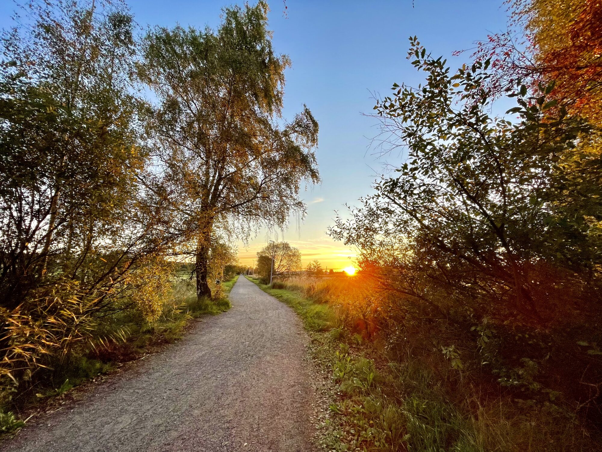 Valokuvaaja: Juhani Peltonen