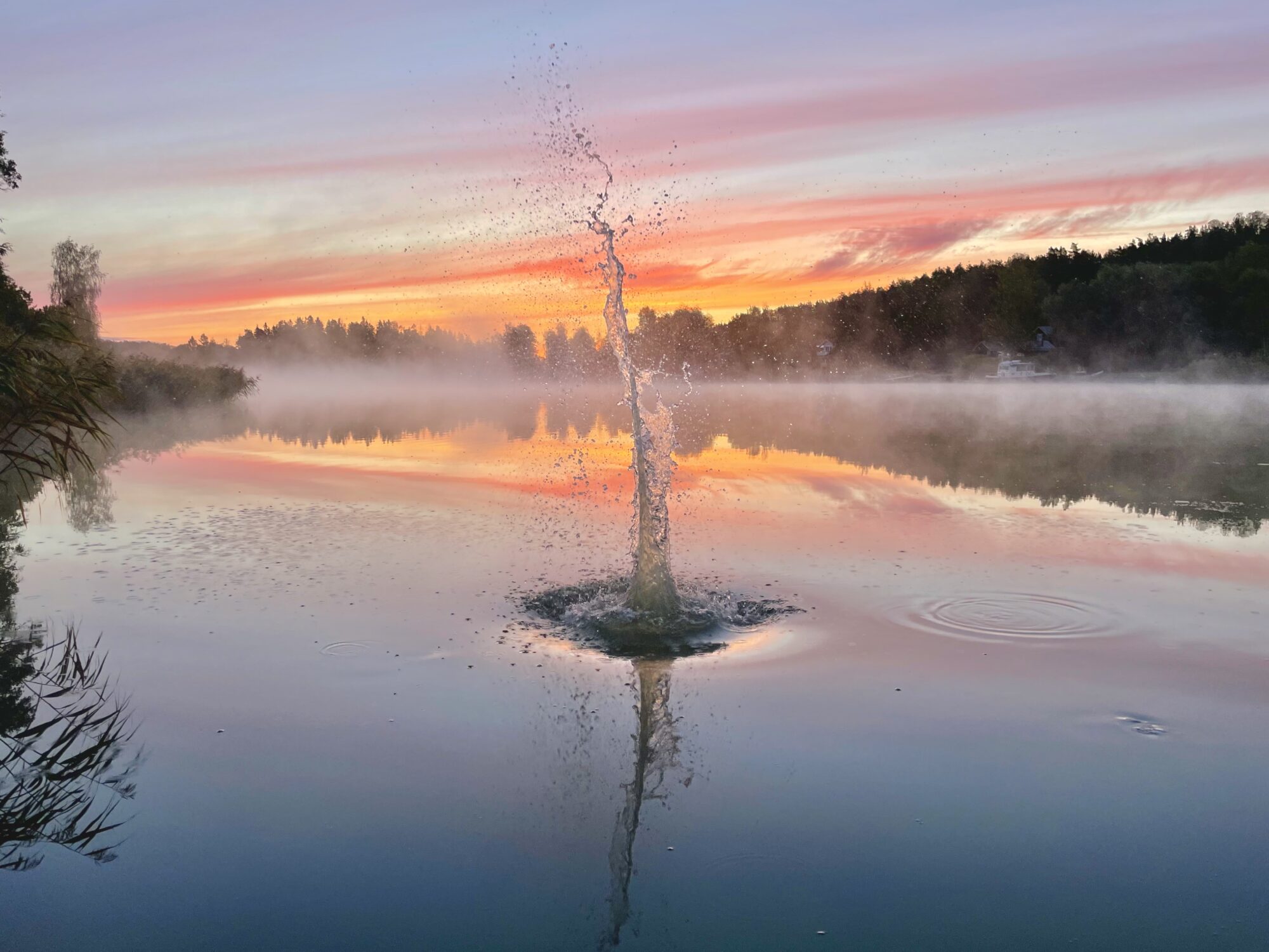 Valokuvaaja: Juhani Peltonen