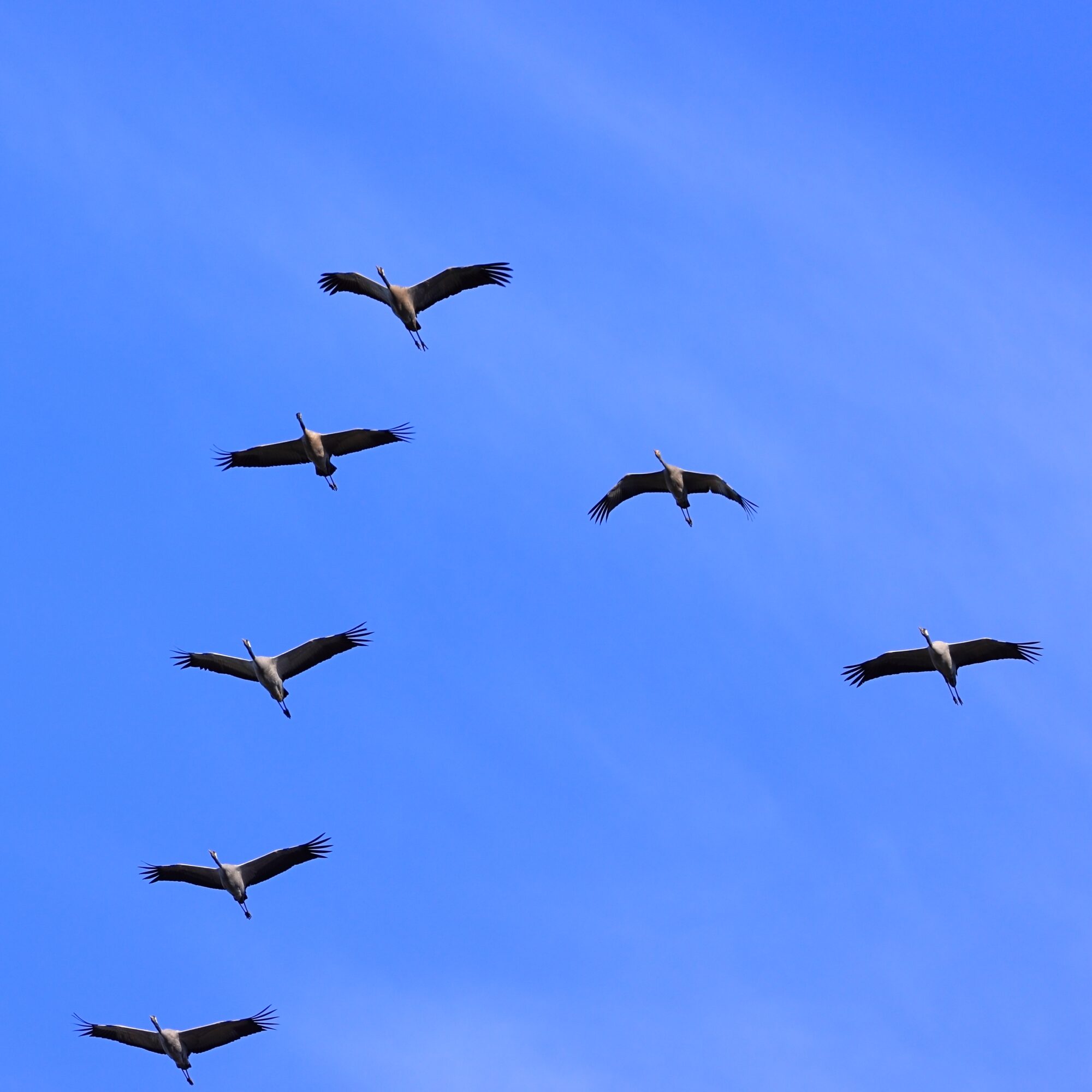 Valokuvaaja: Ari Branthin