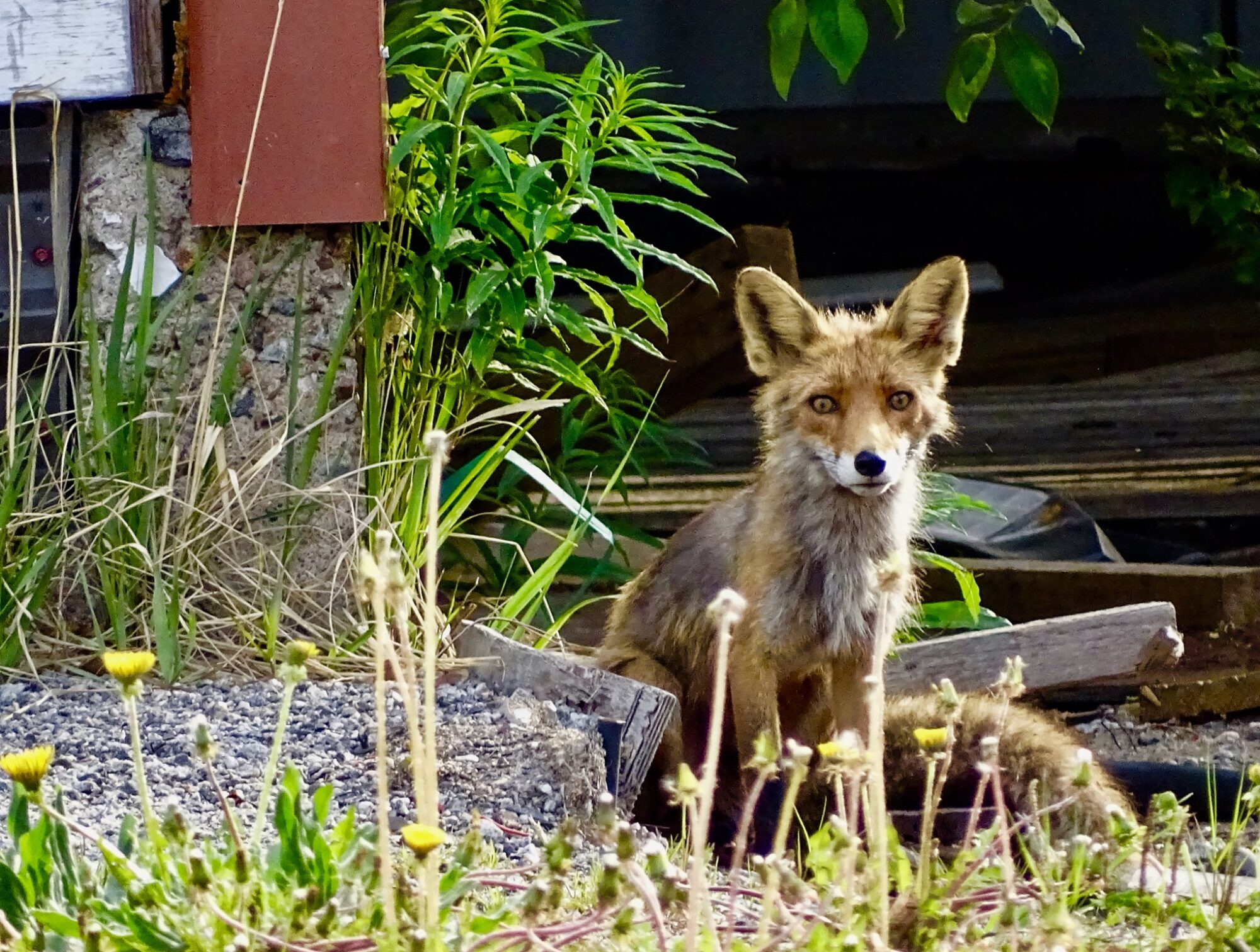 Valokuvaaja: Juhani Peltonen