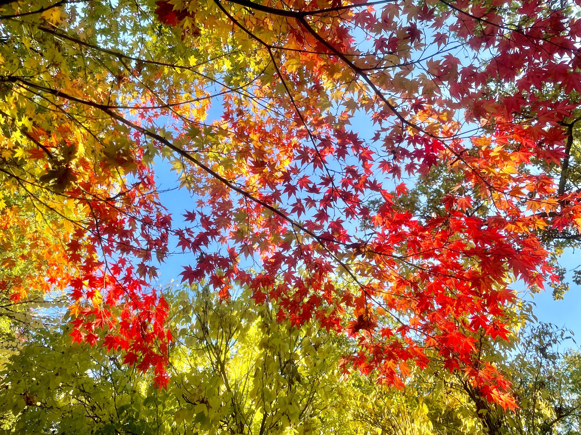 Valokuvaaja: Juhani Peltonen