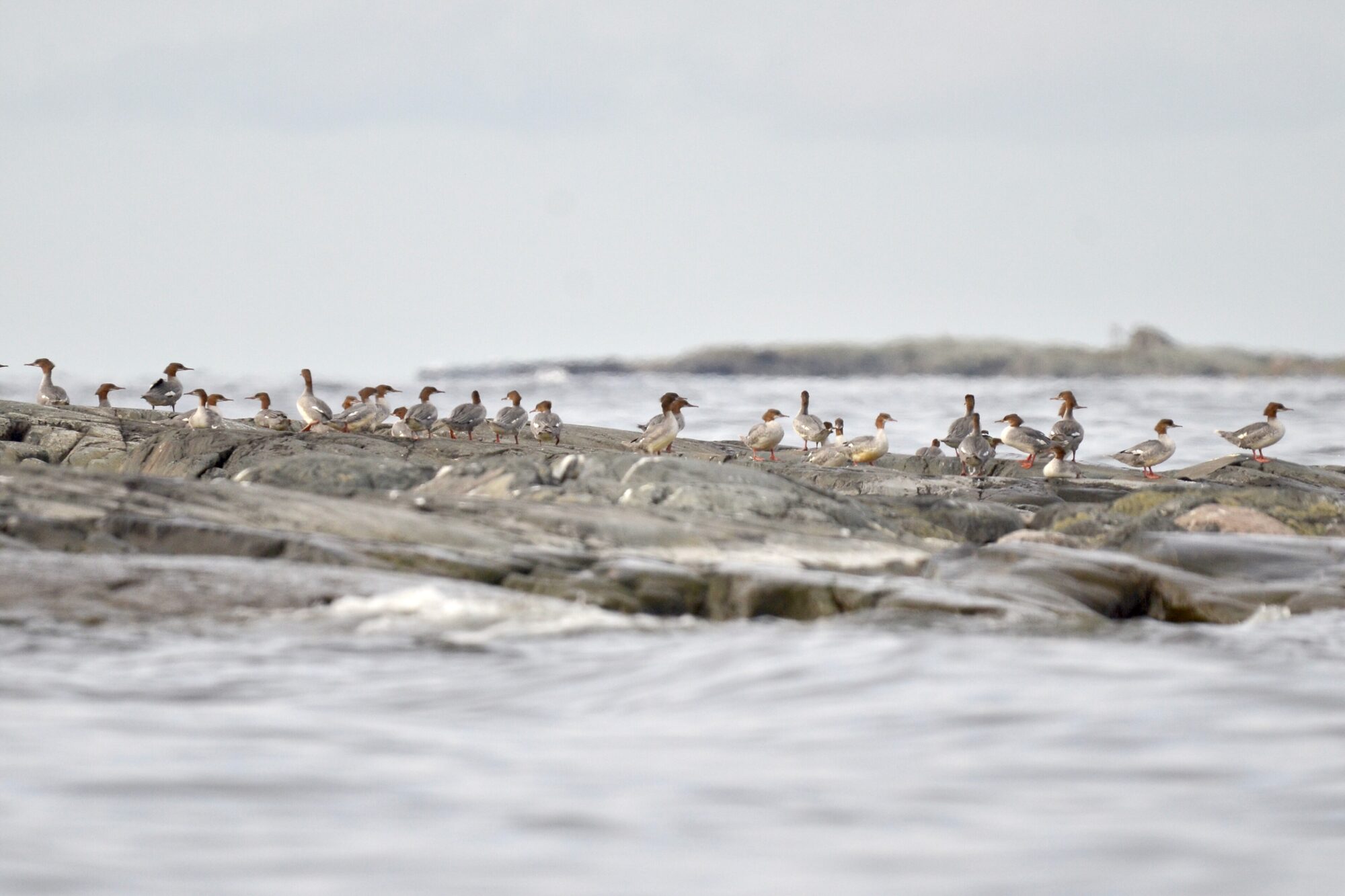 Valokuvaaja: Jouko Etelä