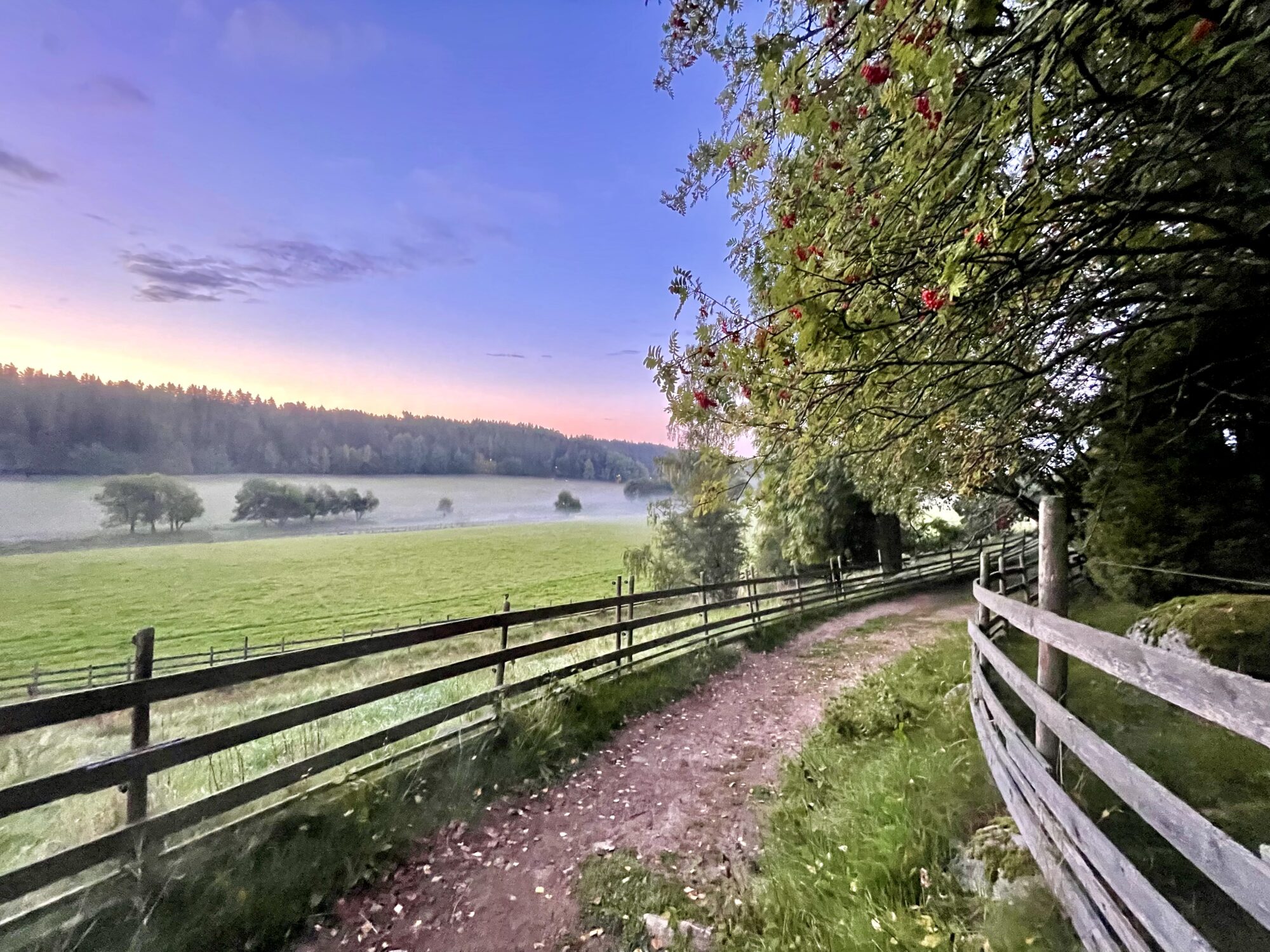 Valokuvaaja: Juhani Peltonen