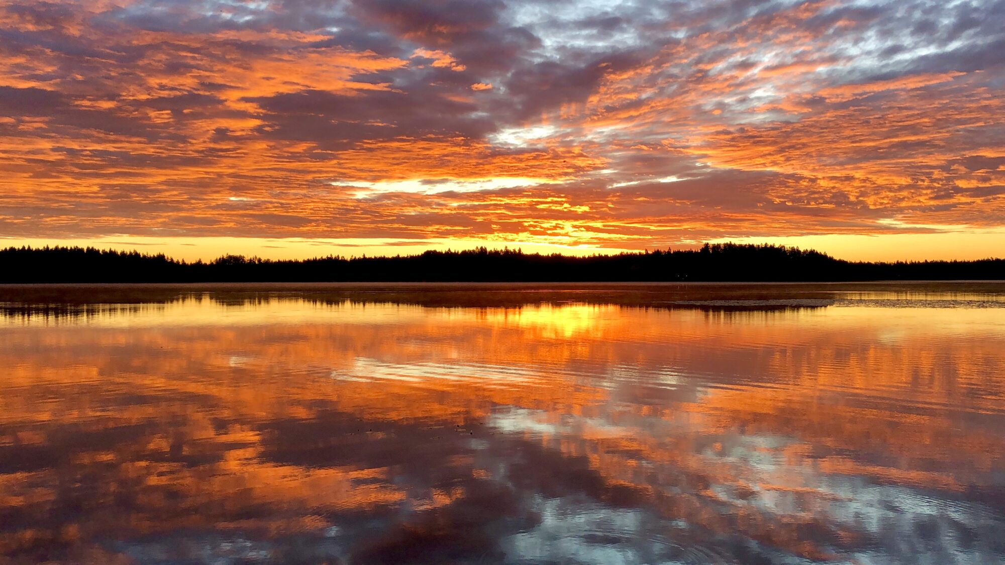 Valokuvaaja: Juhani Peltonen