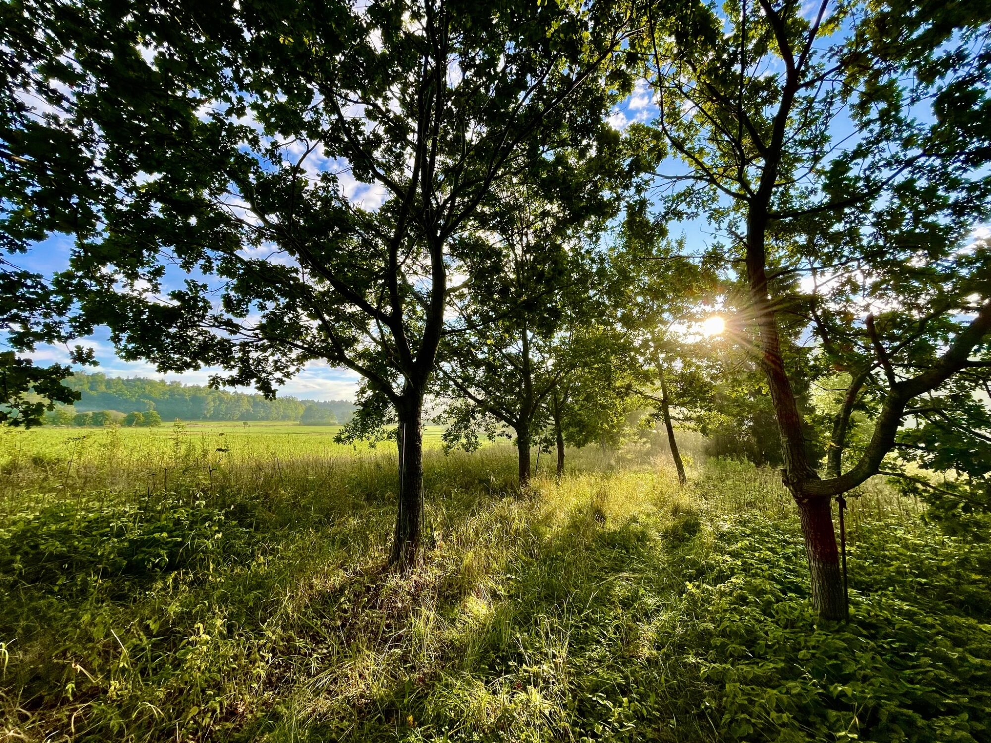 Valokuvaaja: Juhani Peltonen