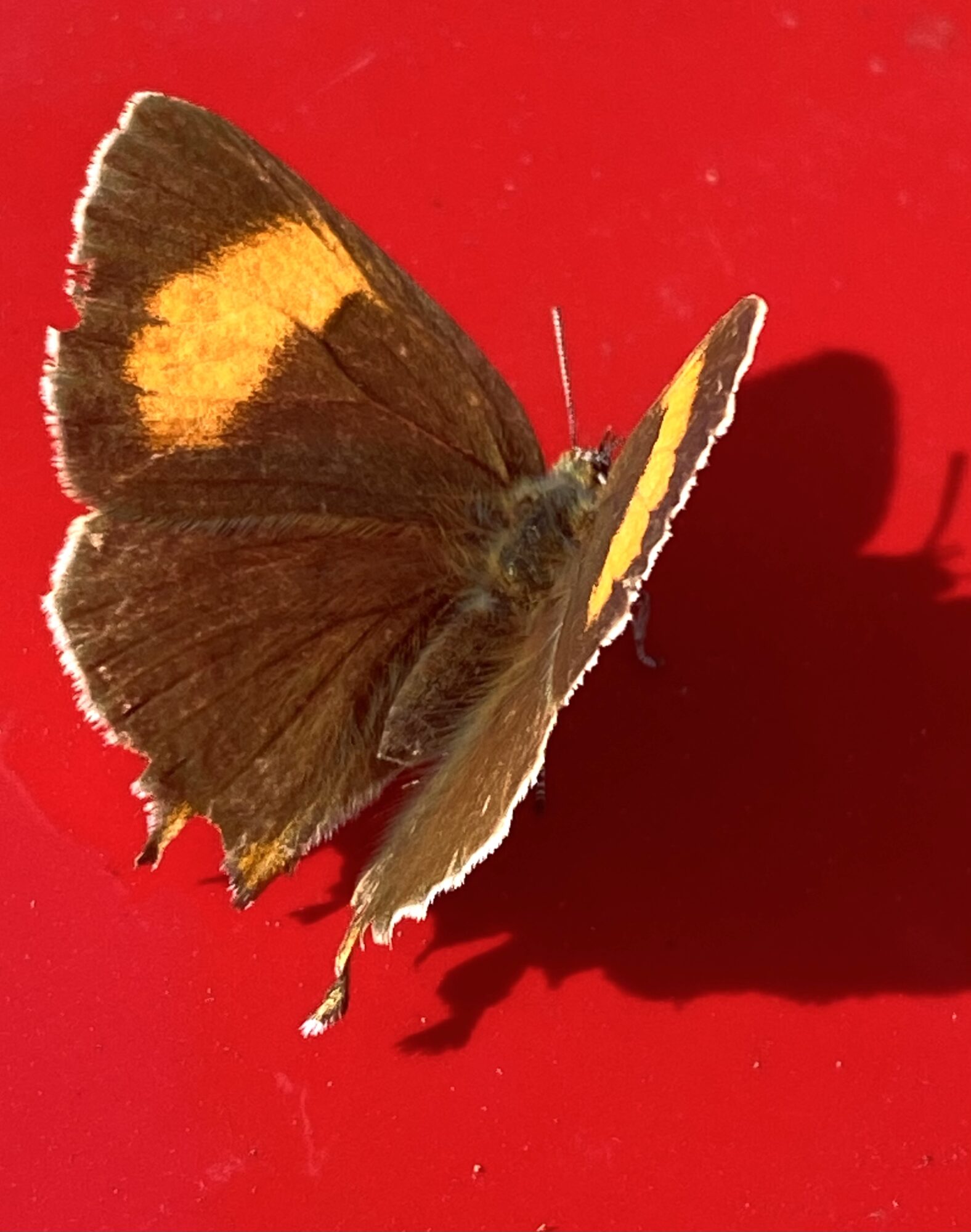 Valokuvaaja: Markku Ranta-Eilola