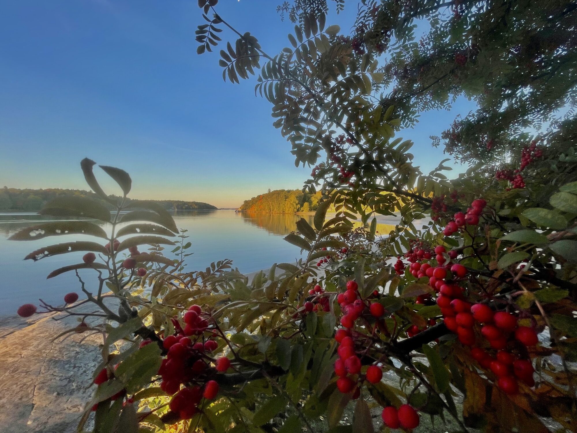 Valokuvaaja: Juhani Peltonen